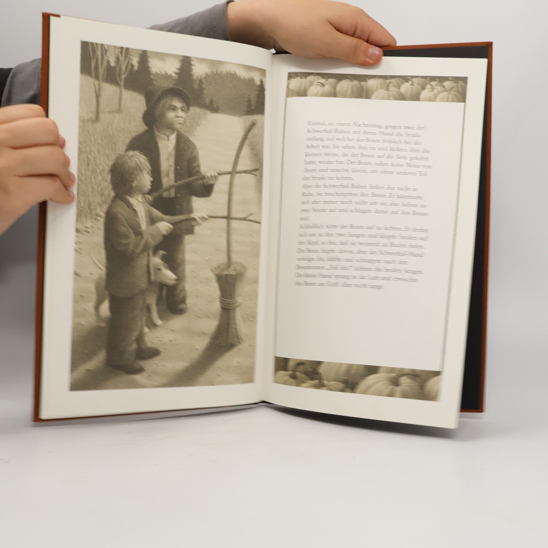 Chris Van Allsburg Der Hexenbesen