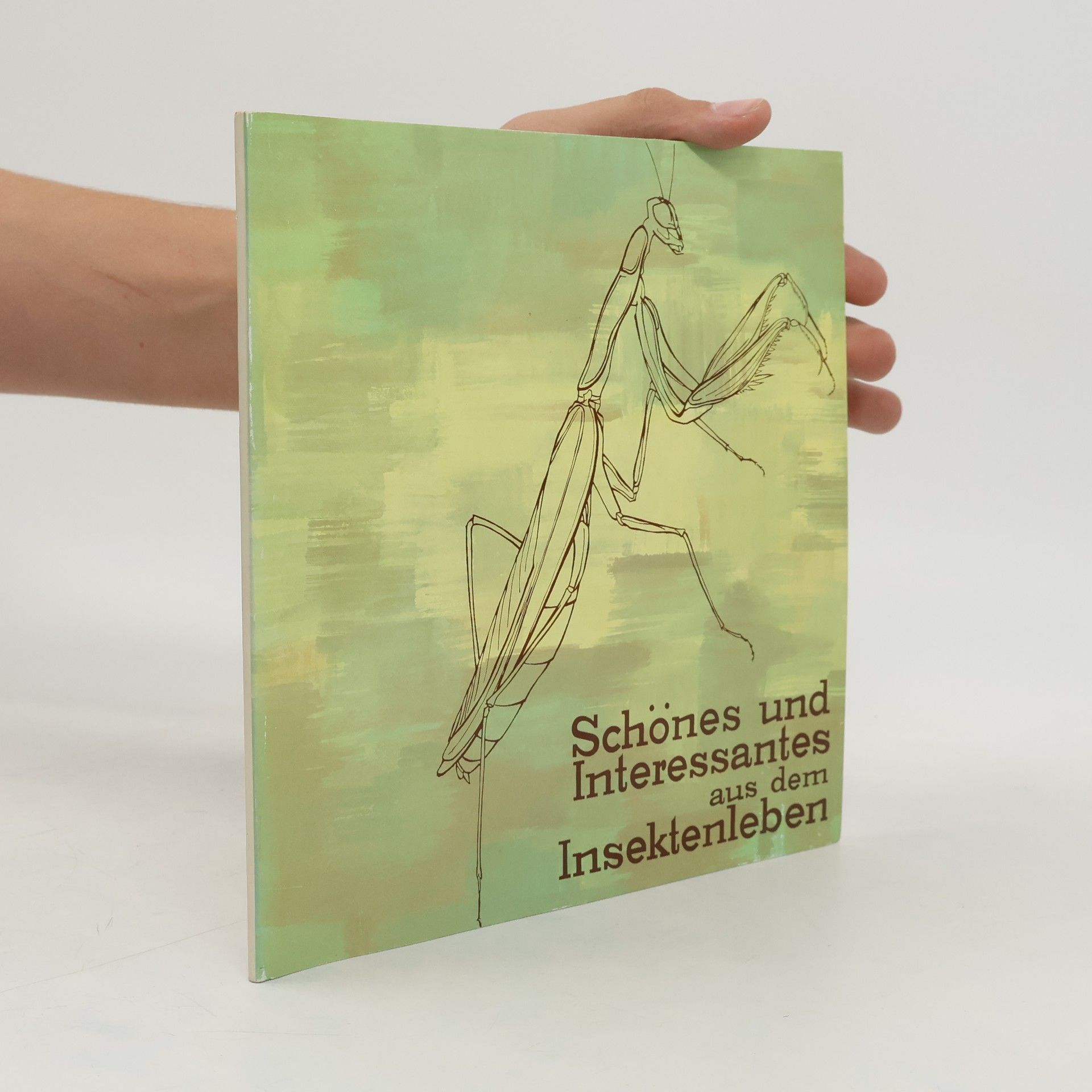 Schönes und Interessantes aus dem Insektenleben