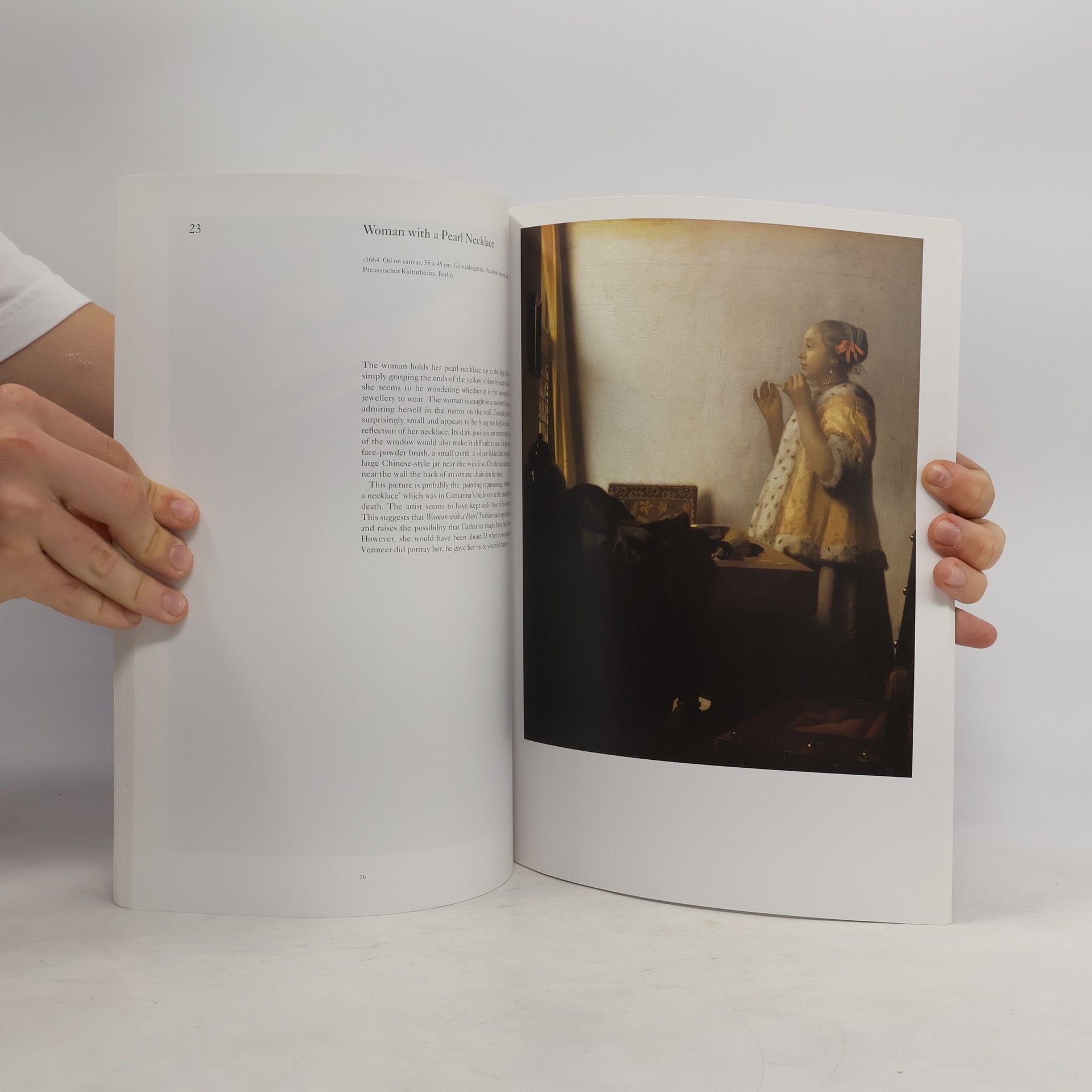Martin Bailey Vermeer