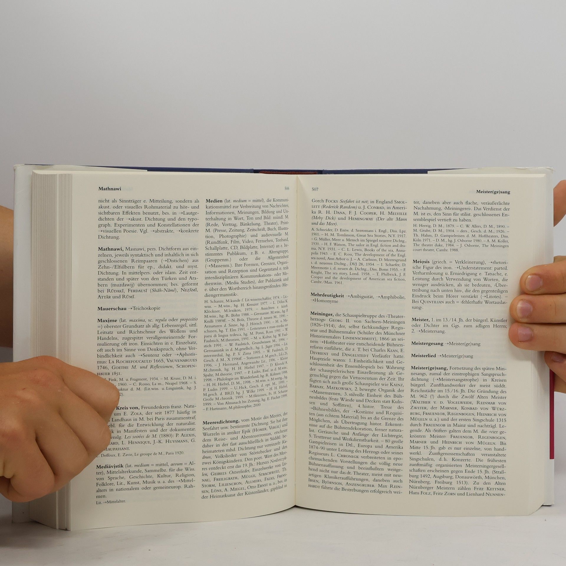 Gero von Wilpert Sachwörterbuch der Literatur