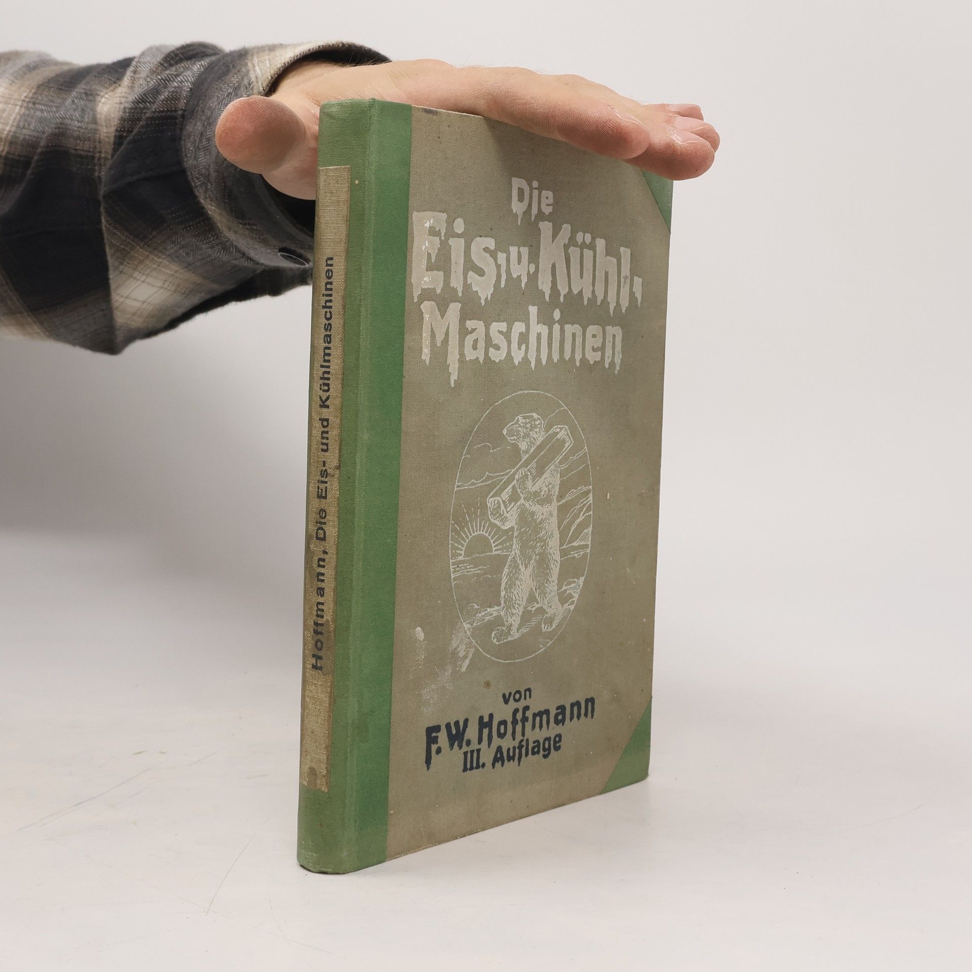 F. W. Hoffmann Die Eis-und Kühlmaschinen