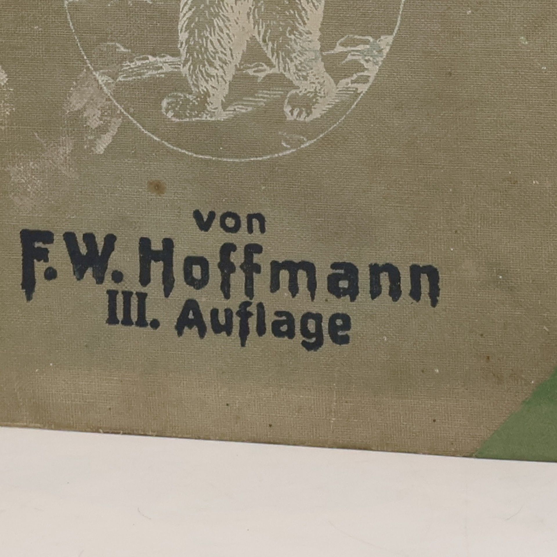 F. W. Hoffmann Die Eis-und Kühlmaschinen