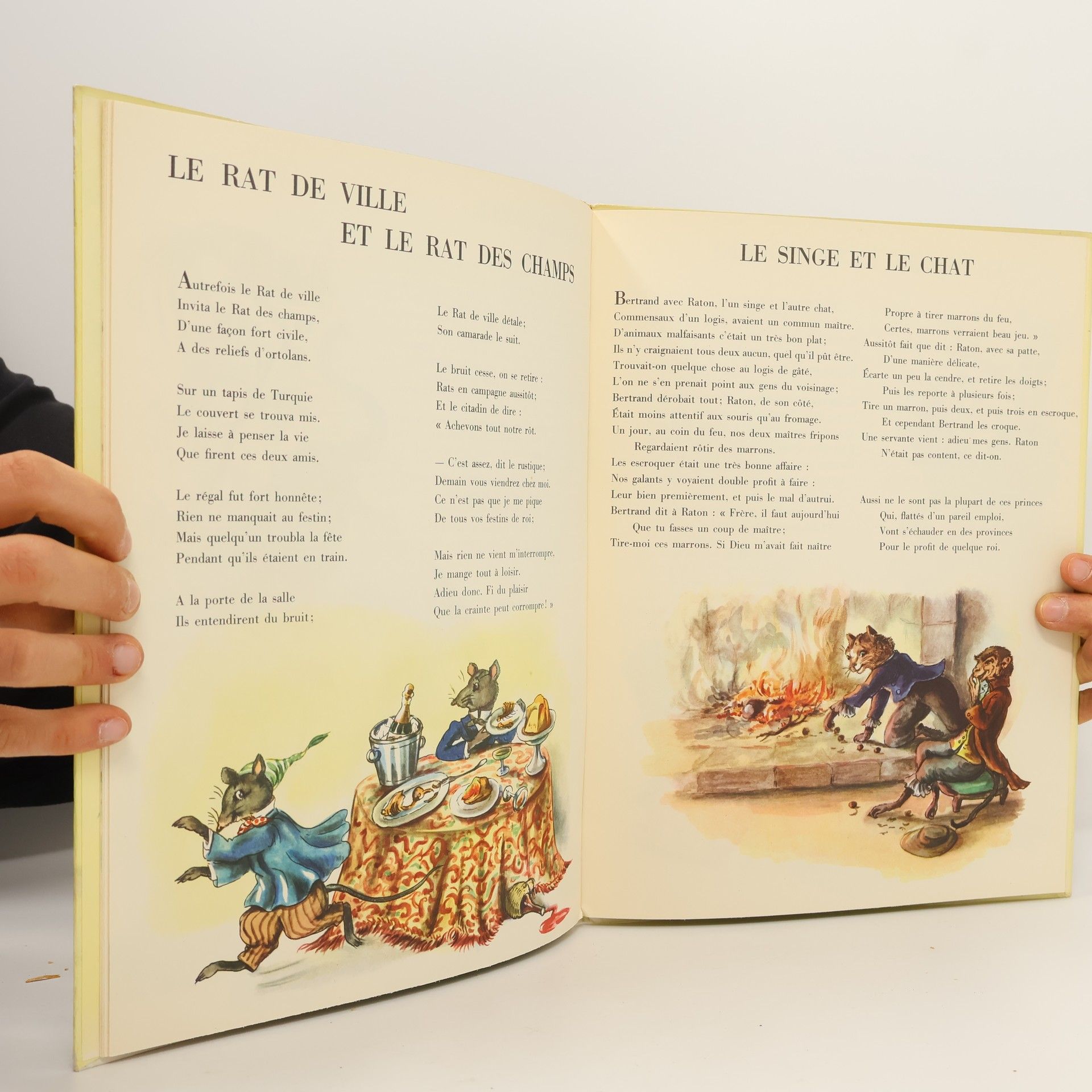 Kolektív autorov Fables de La Fontaine