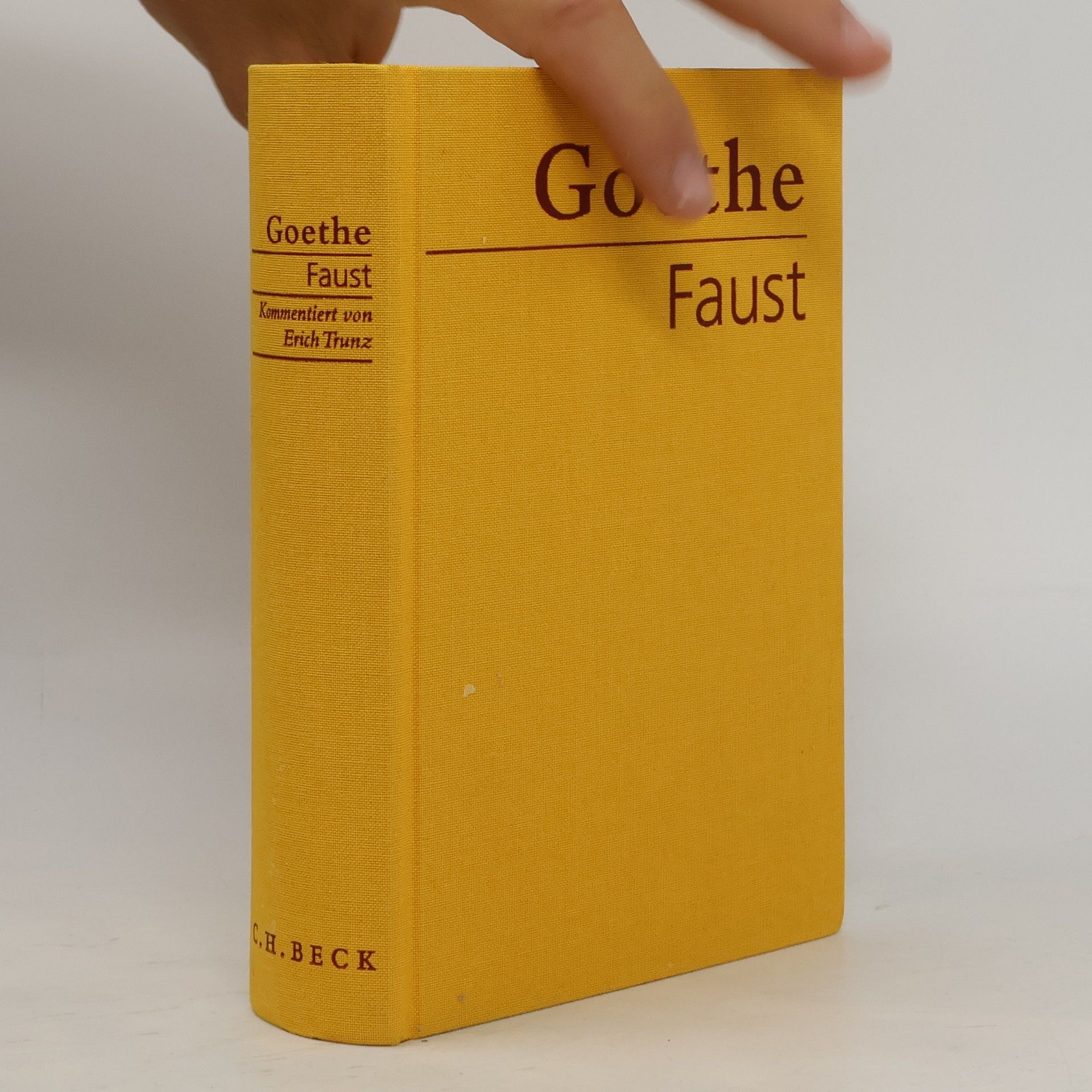 Johann Wolfgang von Goethe Faust