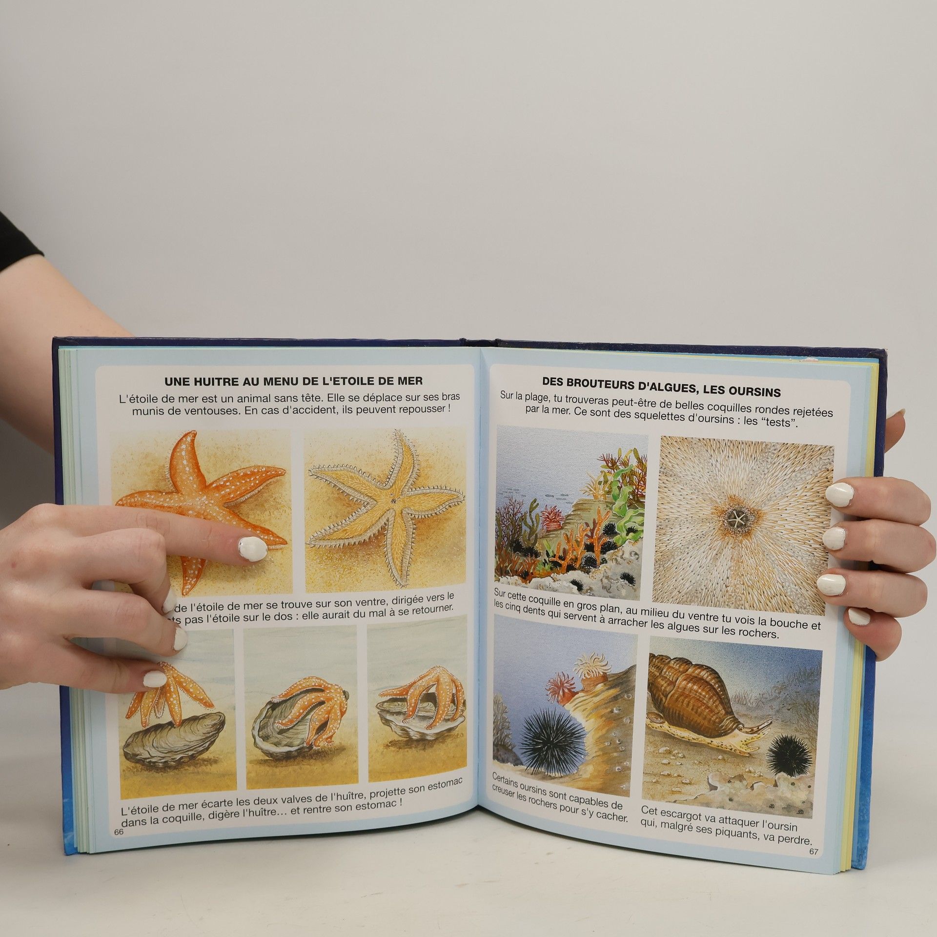 Various authors L'imagerie de la mer