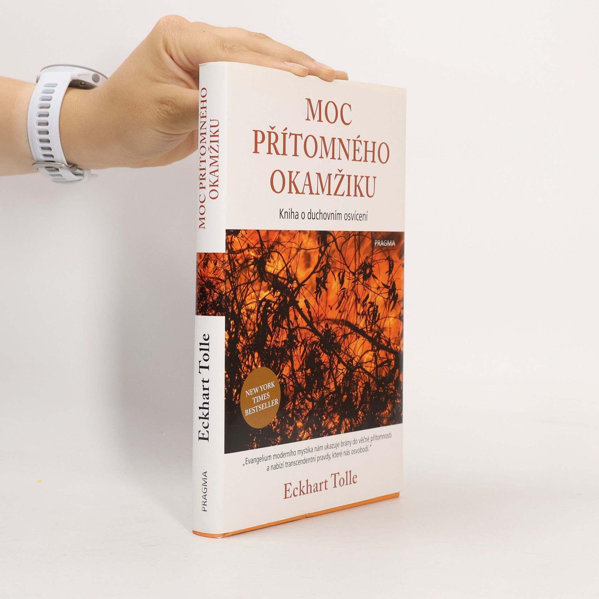 Eckhart Tolle Moc přítomného okamžiku