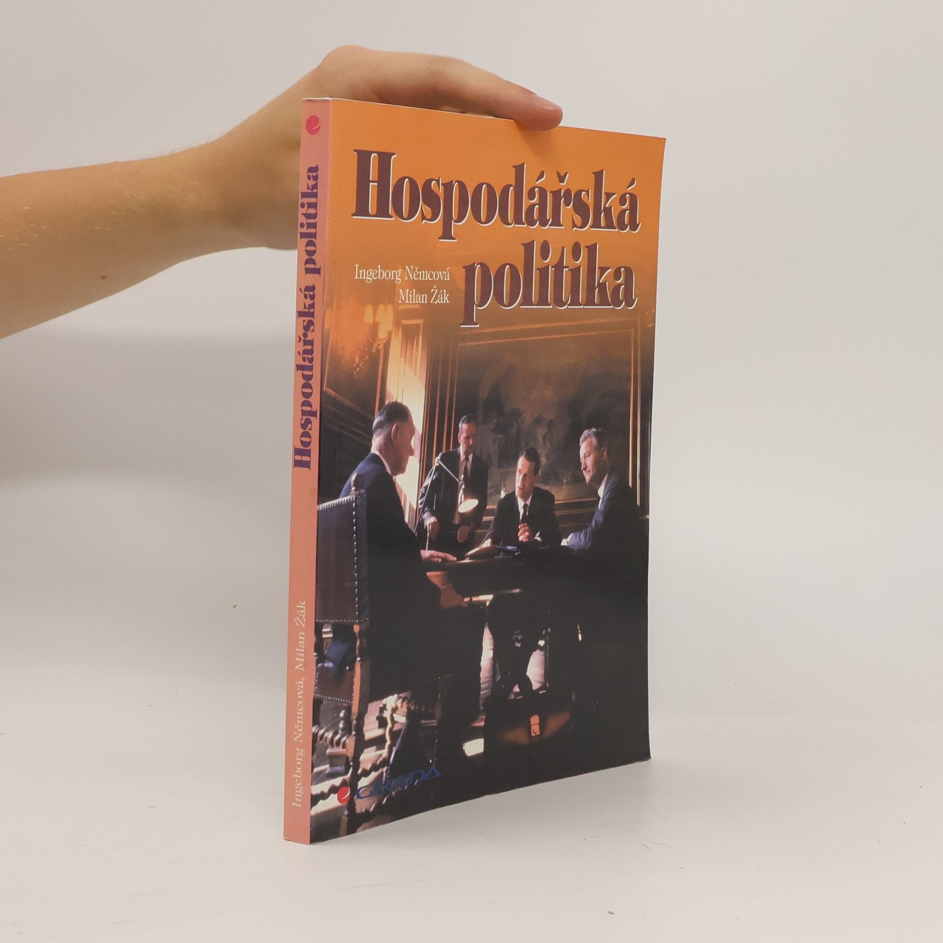 Ingeborg Němcová Hospodářská politika