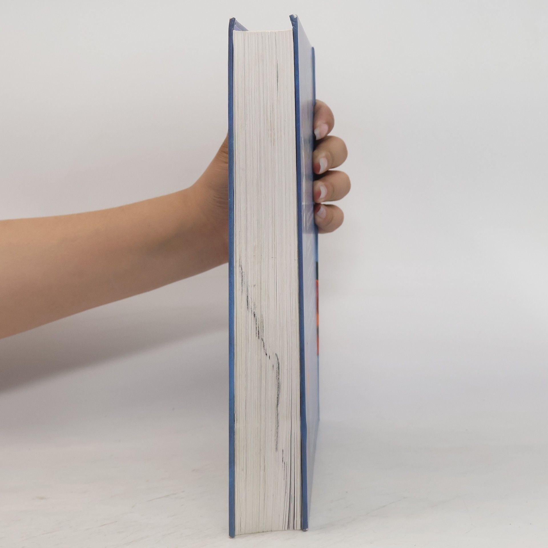Kees Kort Das grosse Bibelbilderbuch