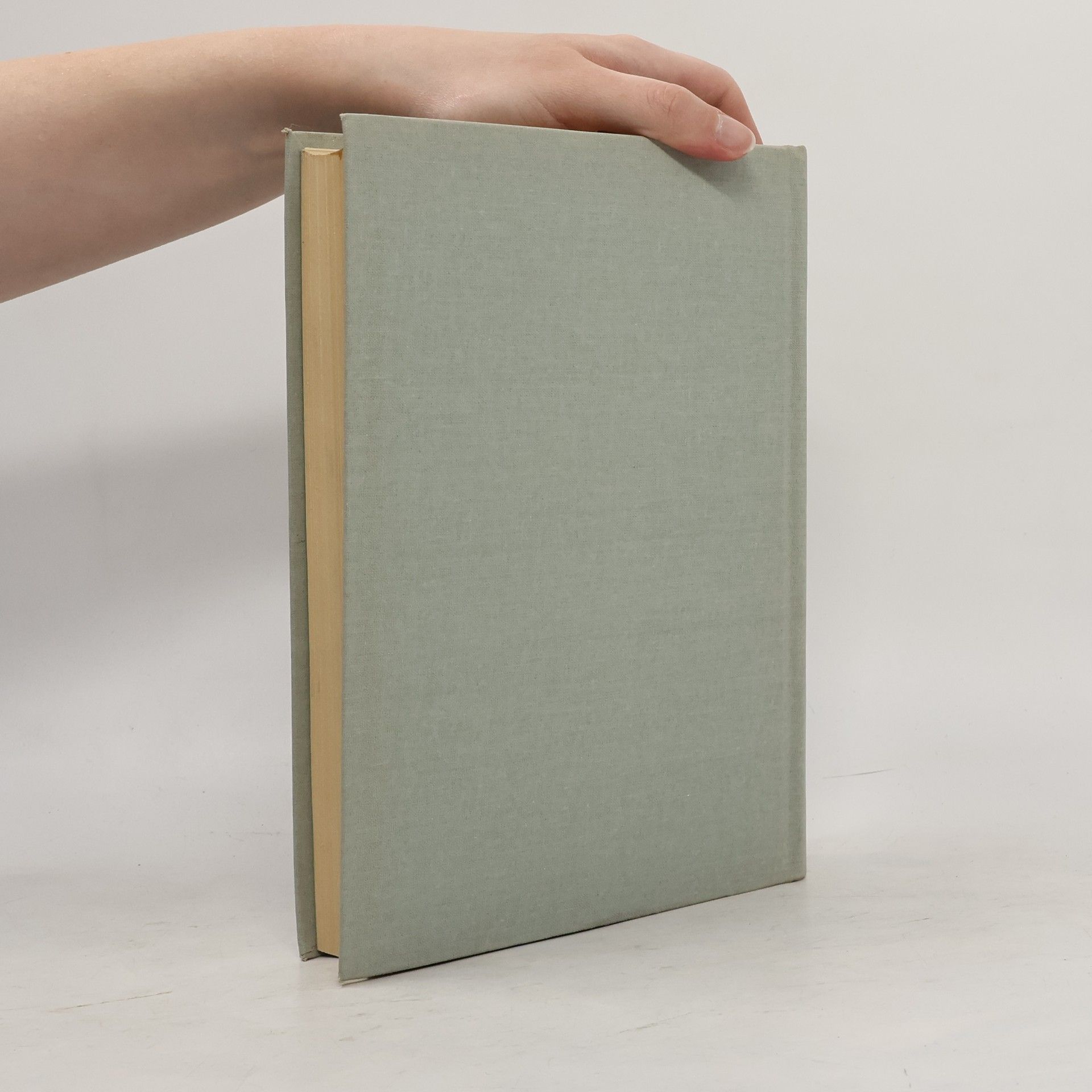 Autorenkollektiv Dějiny francouzské literatury 19. a 20. stol. 1