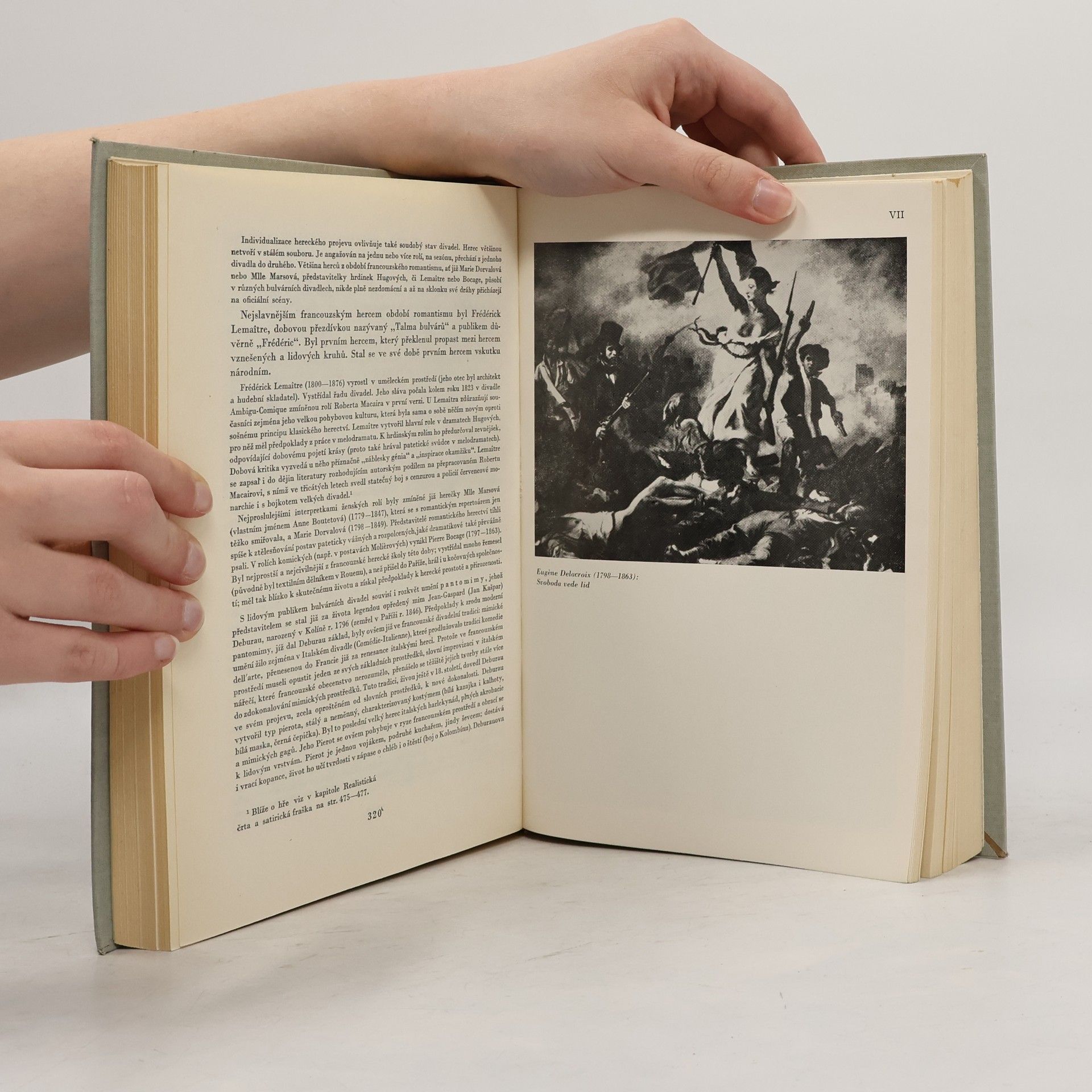 Autorenkollektiv Dějiny francouzské literatury 19. a 20. stol. 1