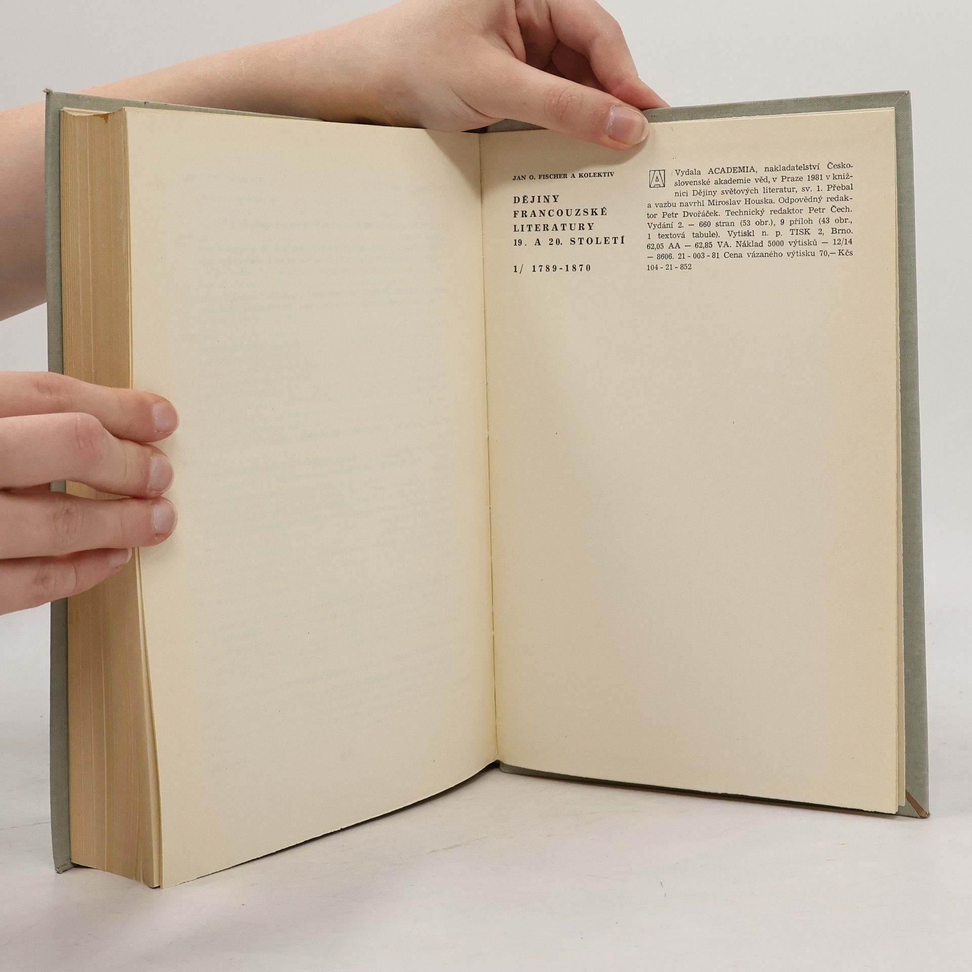 Autorenkollektiv Dějiny francouzské literatury 19. a 20. stol. 1