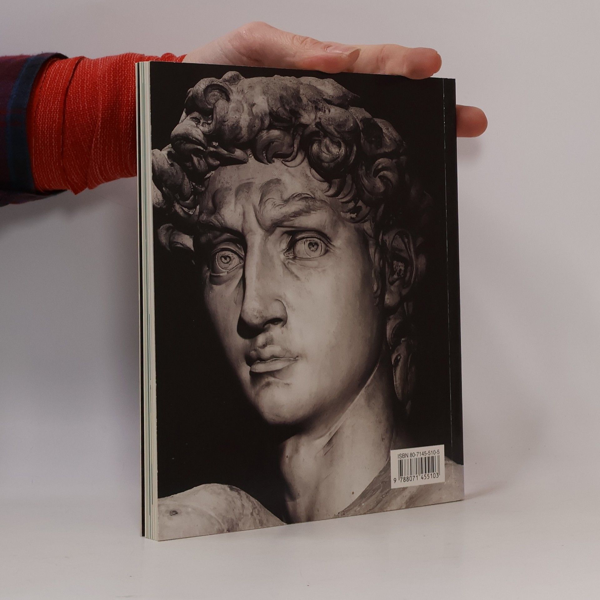 Alexandra Grömling Michelangelo Buonarroti