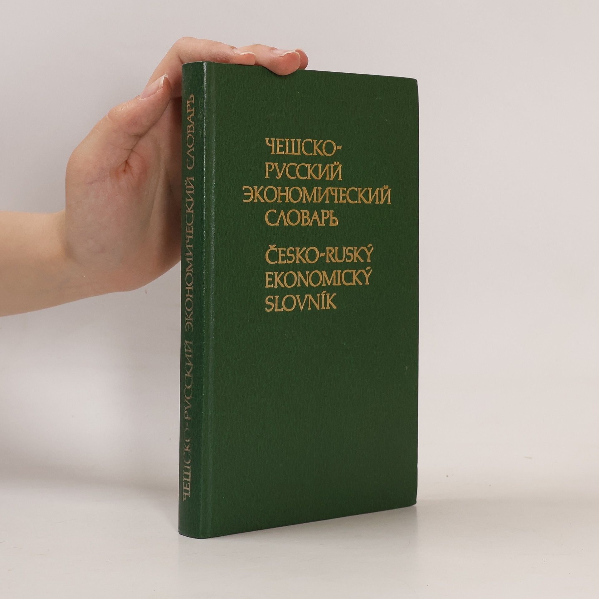 Auteurscollectief Чешско-русский экономический словарь