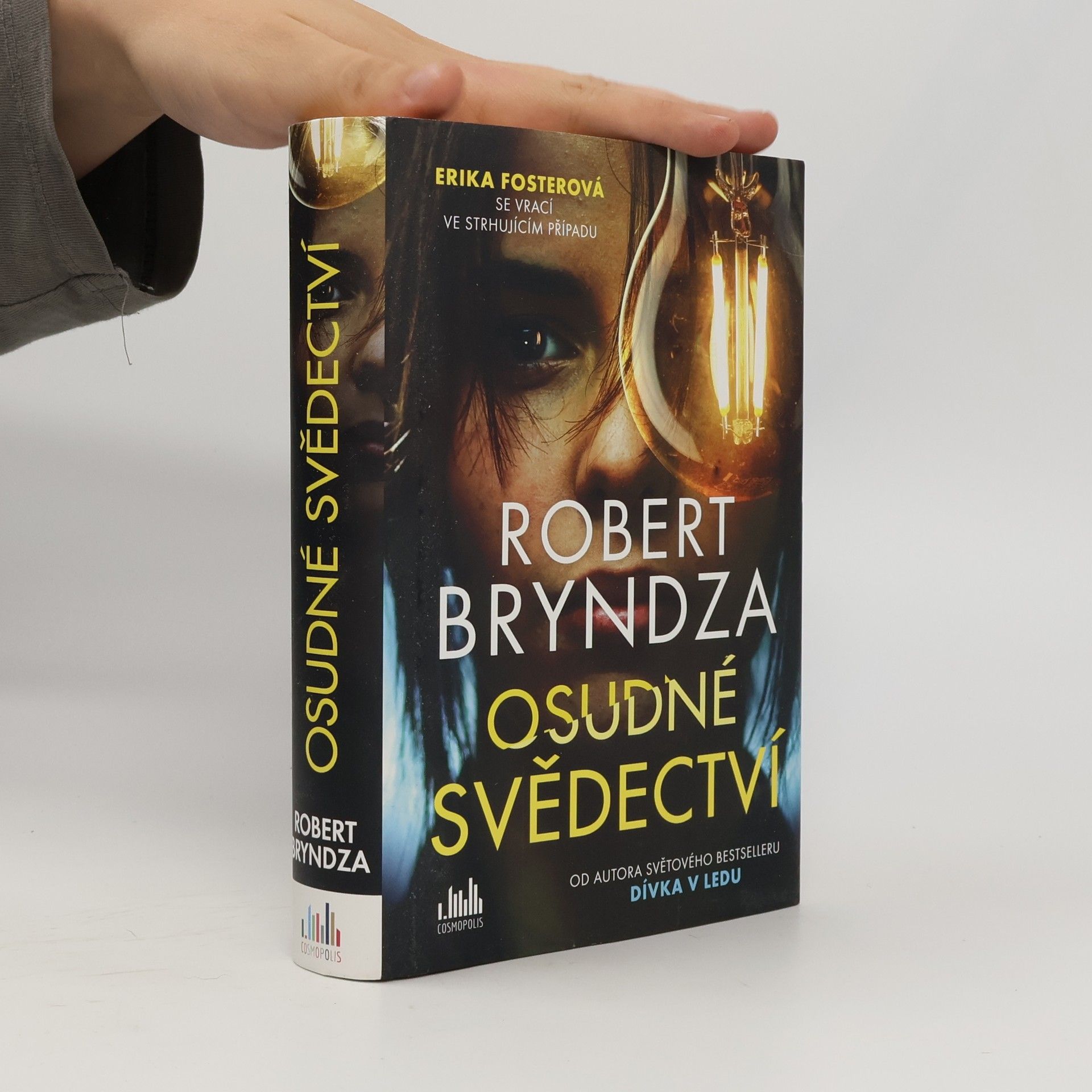 Robert Bryndza Osudné svědectví