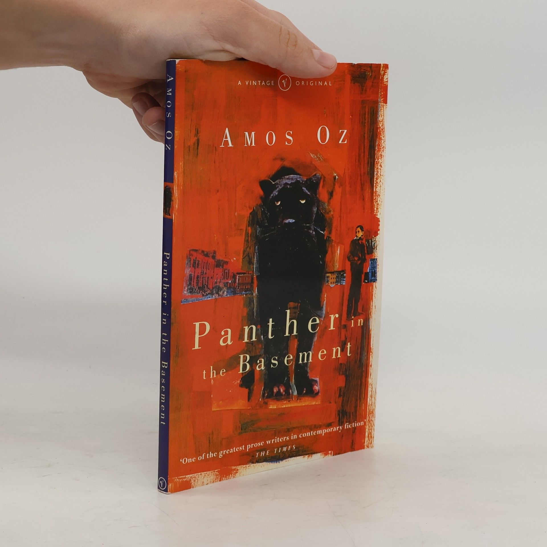 Amos Oz Panther In The Basement