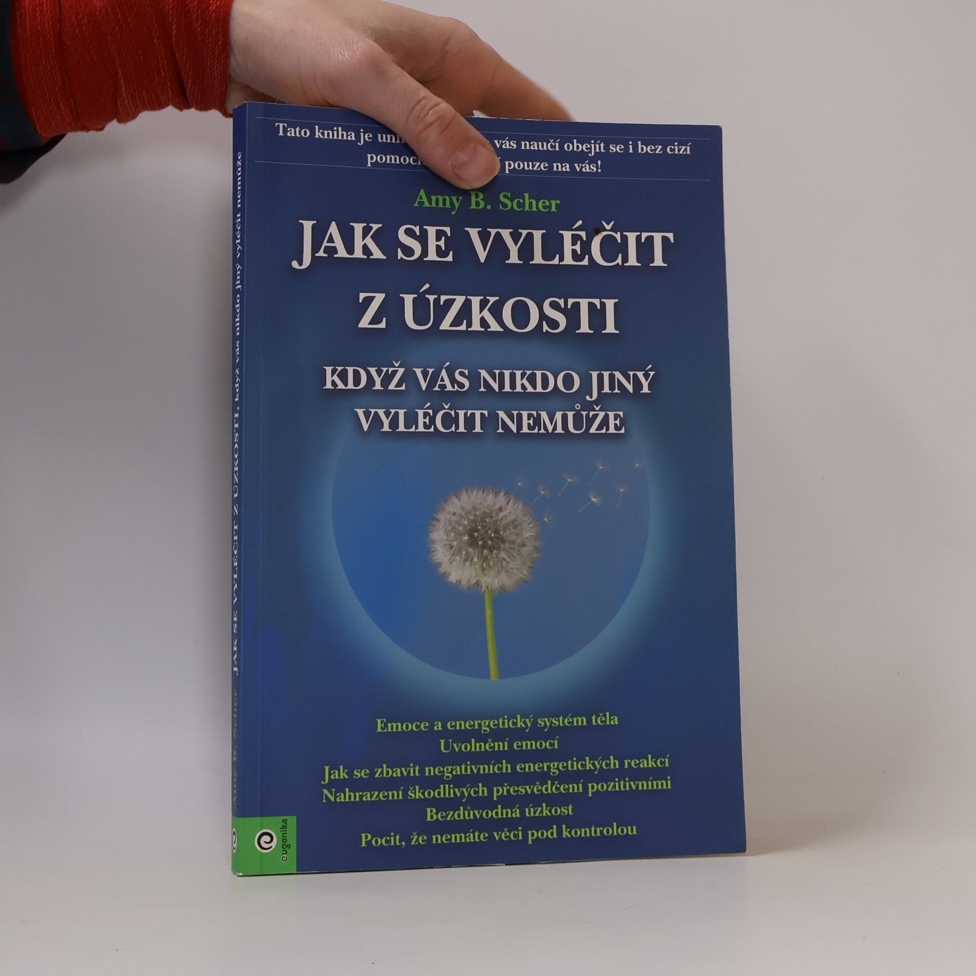 Amy B. Scher Jak se vyléčit z úzkosti, když vás nikdo jiný vyléčit nemůže