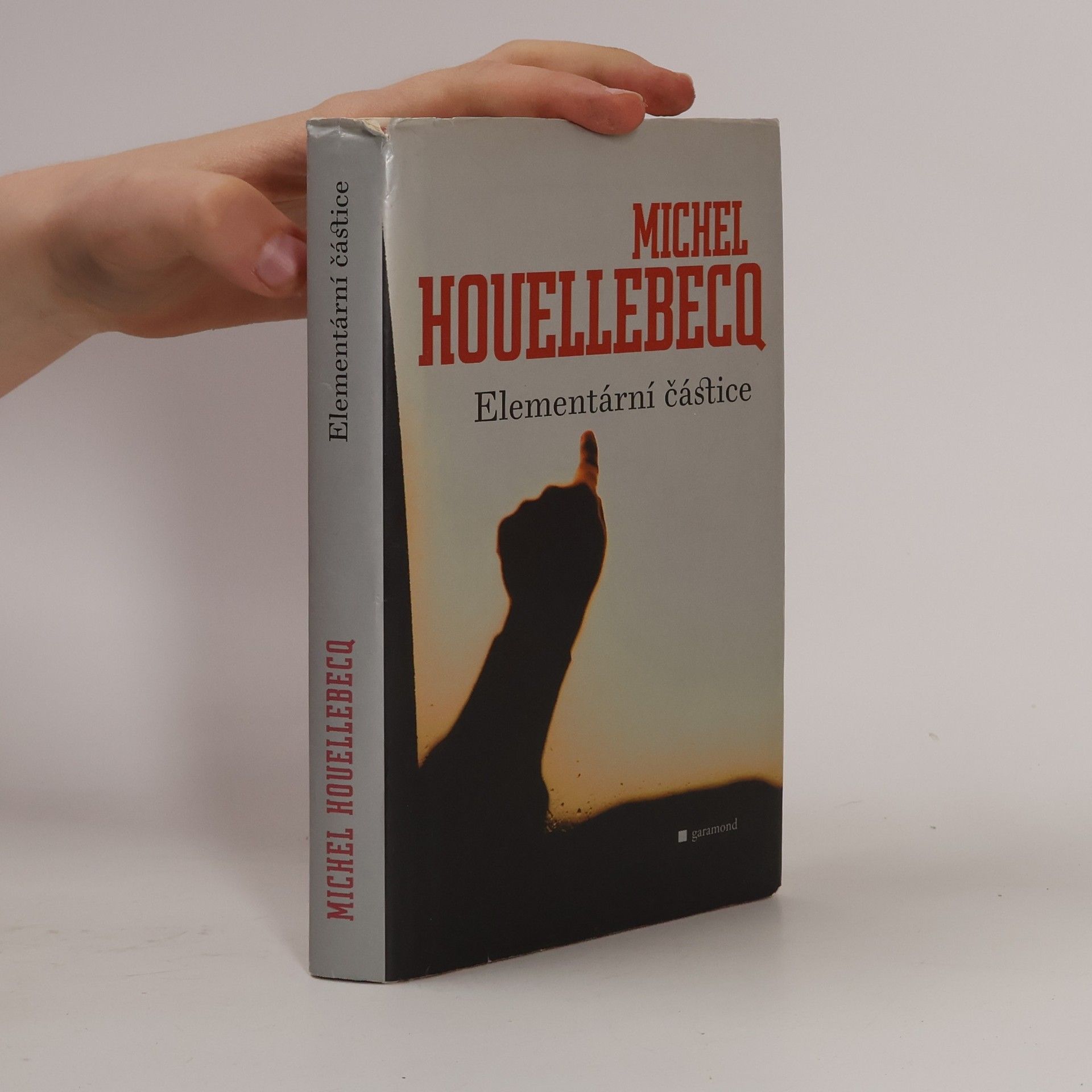 Michel Houellebecq Elementární částice