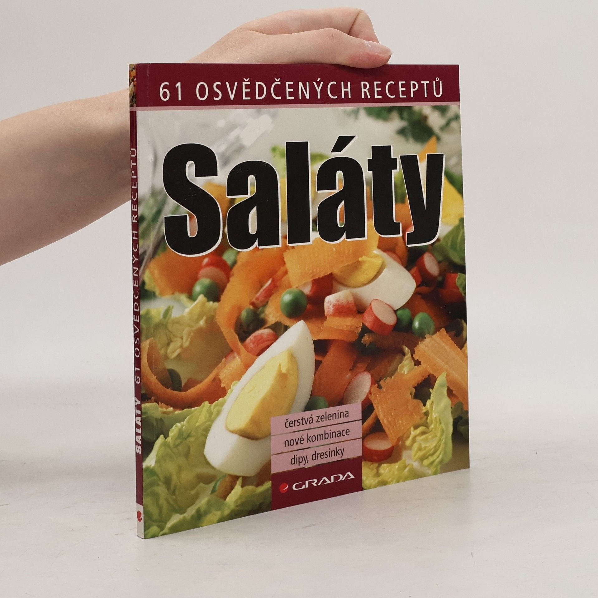 Various authors Saláty : 61 osvědčených receptů