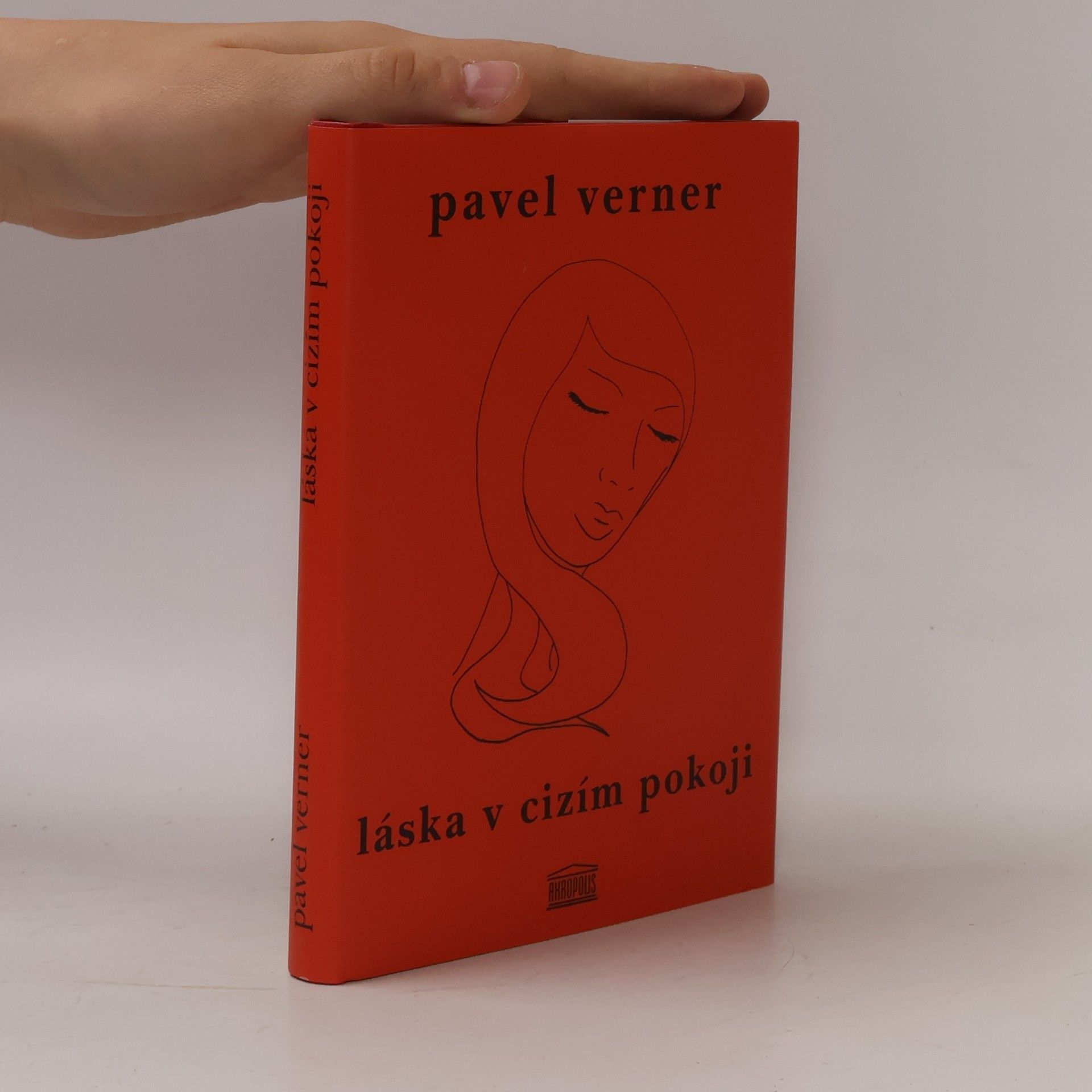 Pavel Verner Láska v cizím pokoji