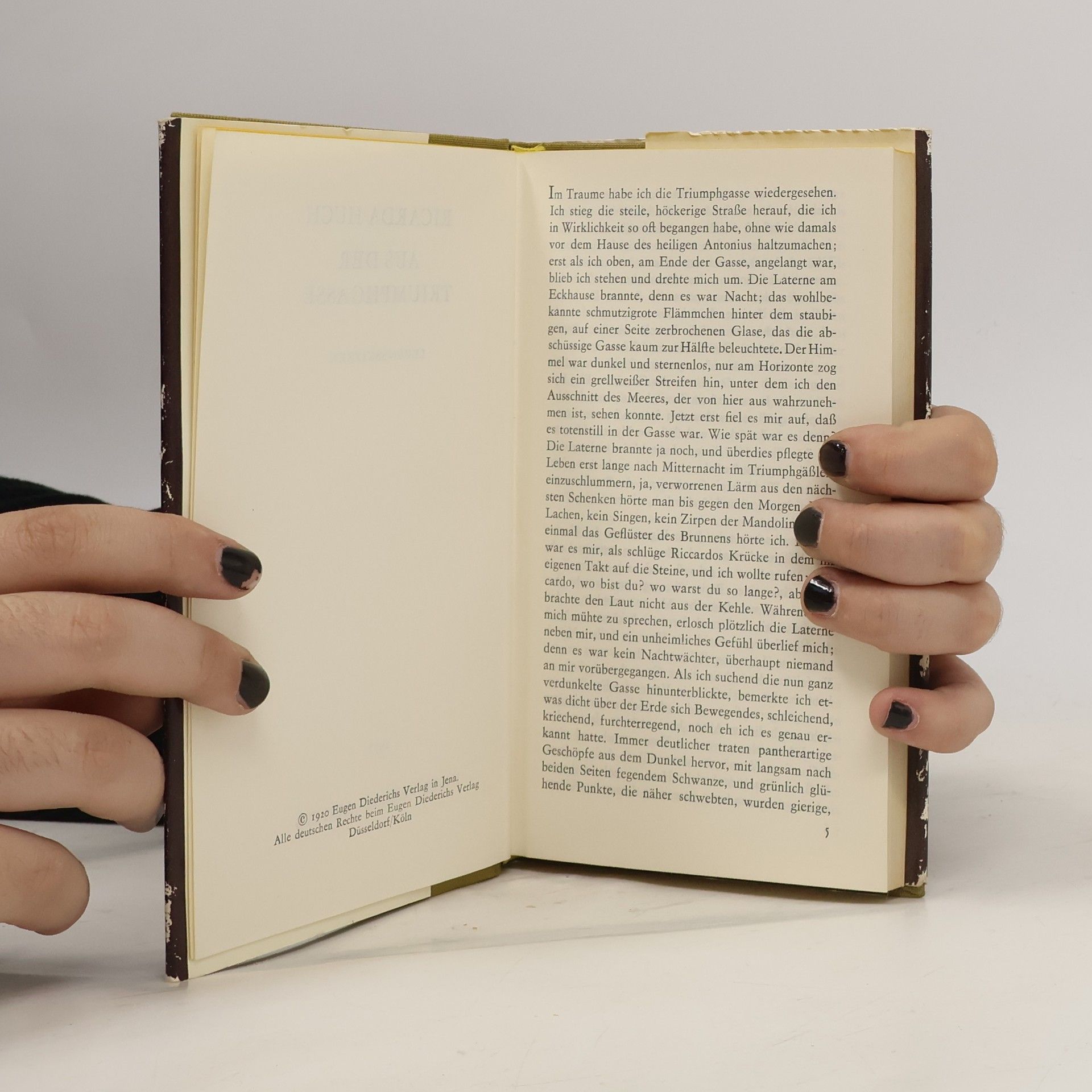 Ricarda Huch Aus der Triumphgasse