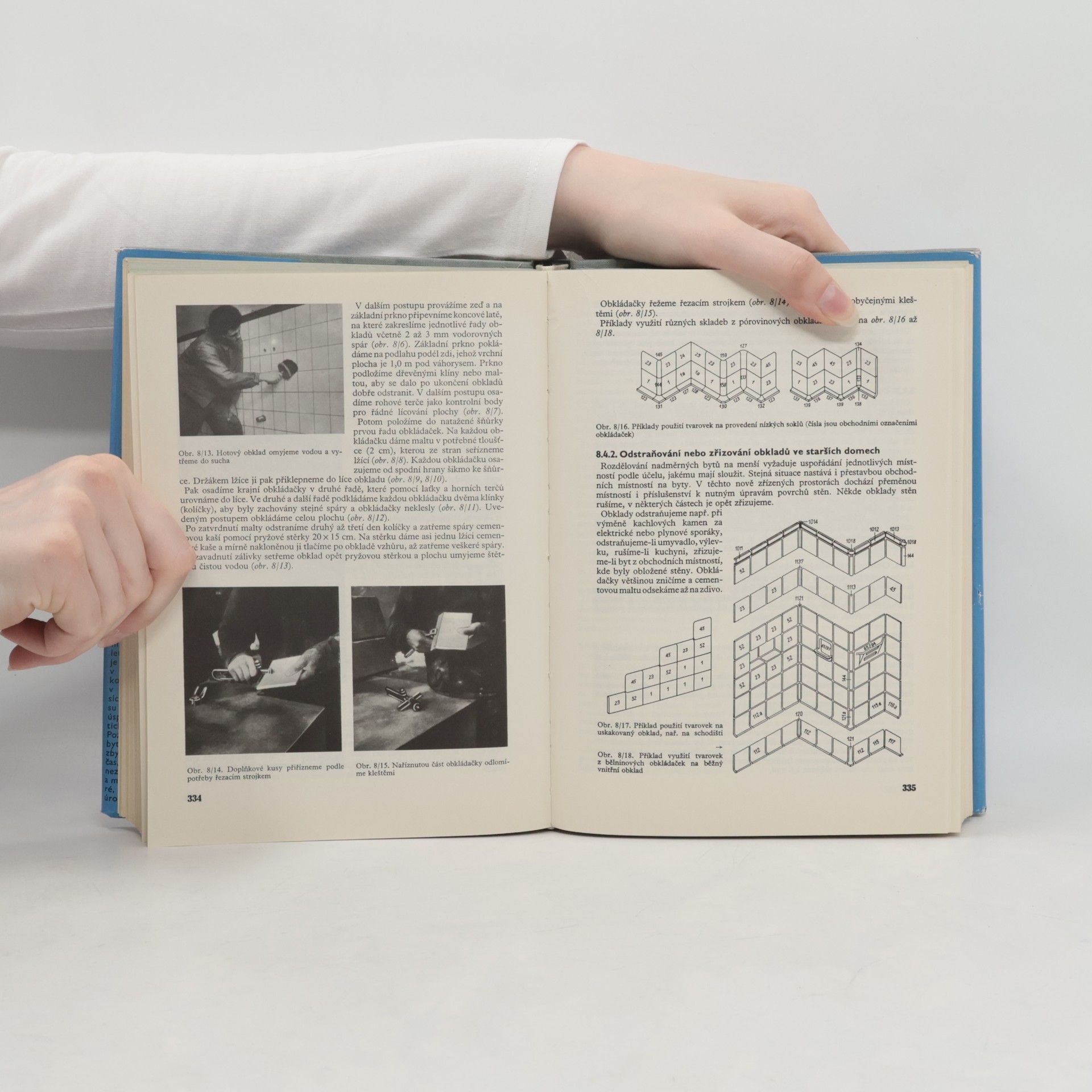Autorenkollektiv Úprava bytu. Řemeslné práce v bytě a rodinném domku