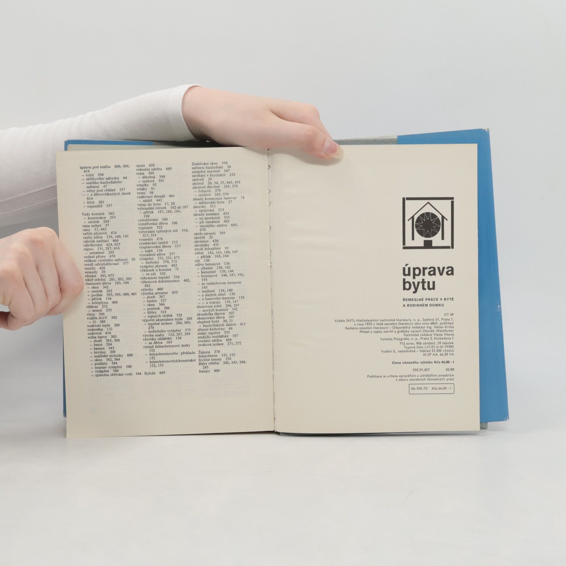 Autorenkollektiv Úprava bytu. Řemeslné práce v bytě a rodinném domku