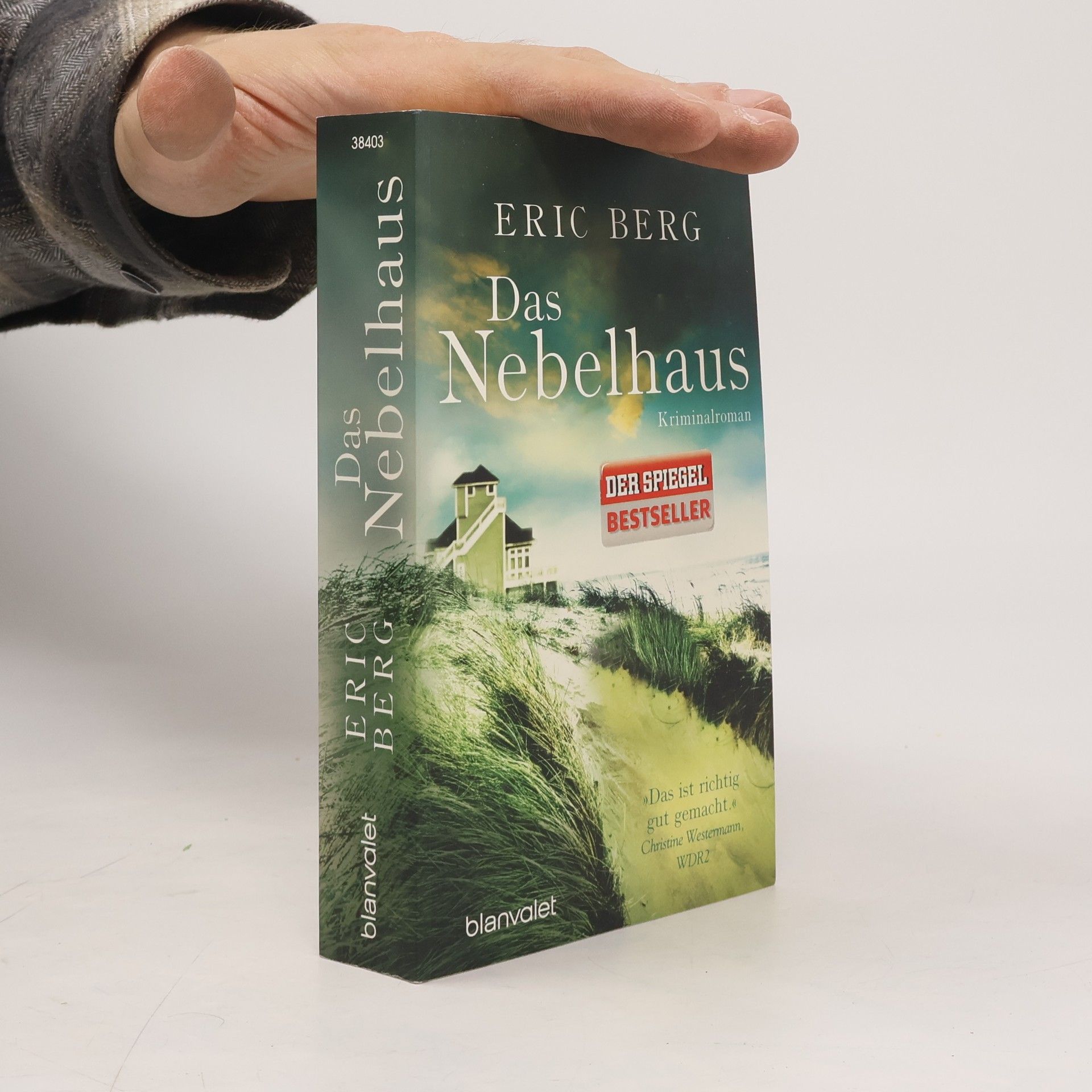 Eric Berg Das Nebelhaus