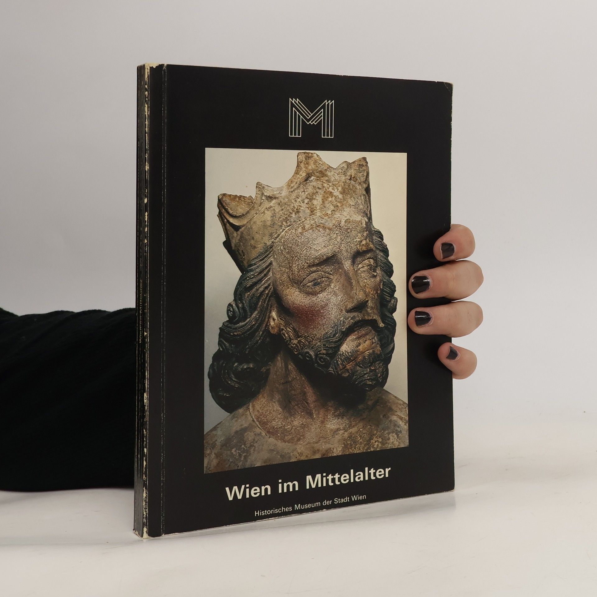 Autorenkollektiv Wien im Mittelalter