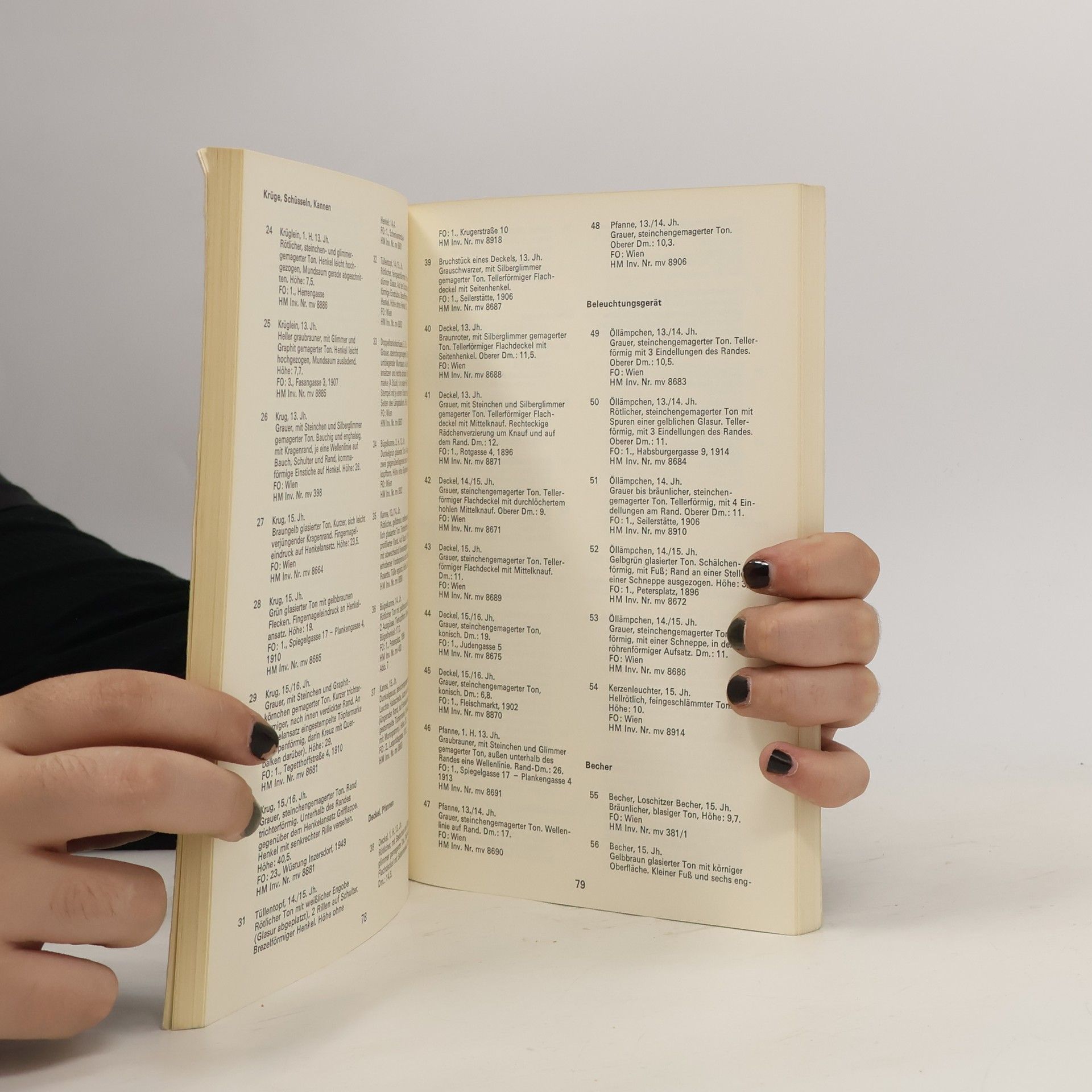 Autorenkollektiv Wien im Mittelalter