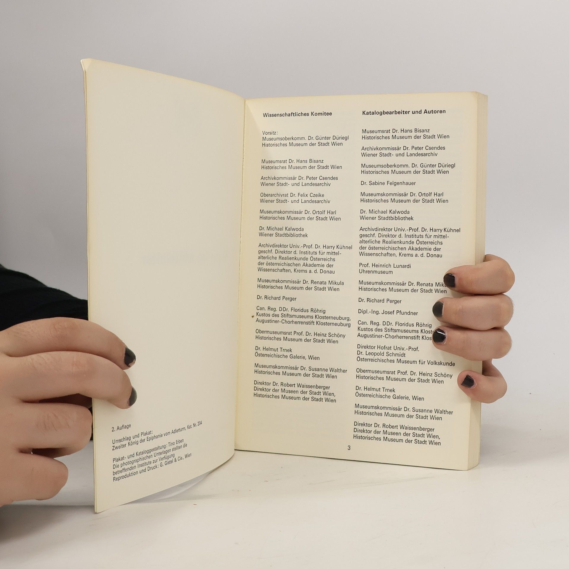 Autorenkollektiv Wien im Mittelalter