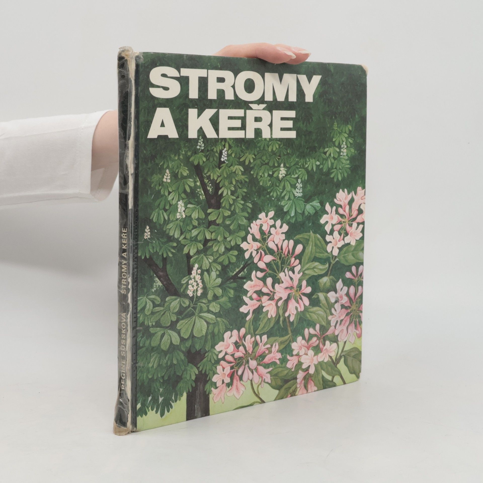 Regine Süssk Stromy a keře