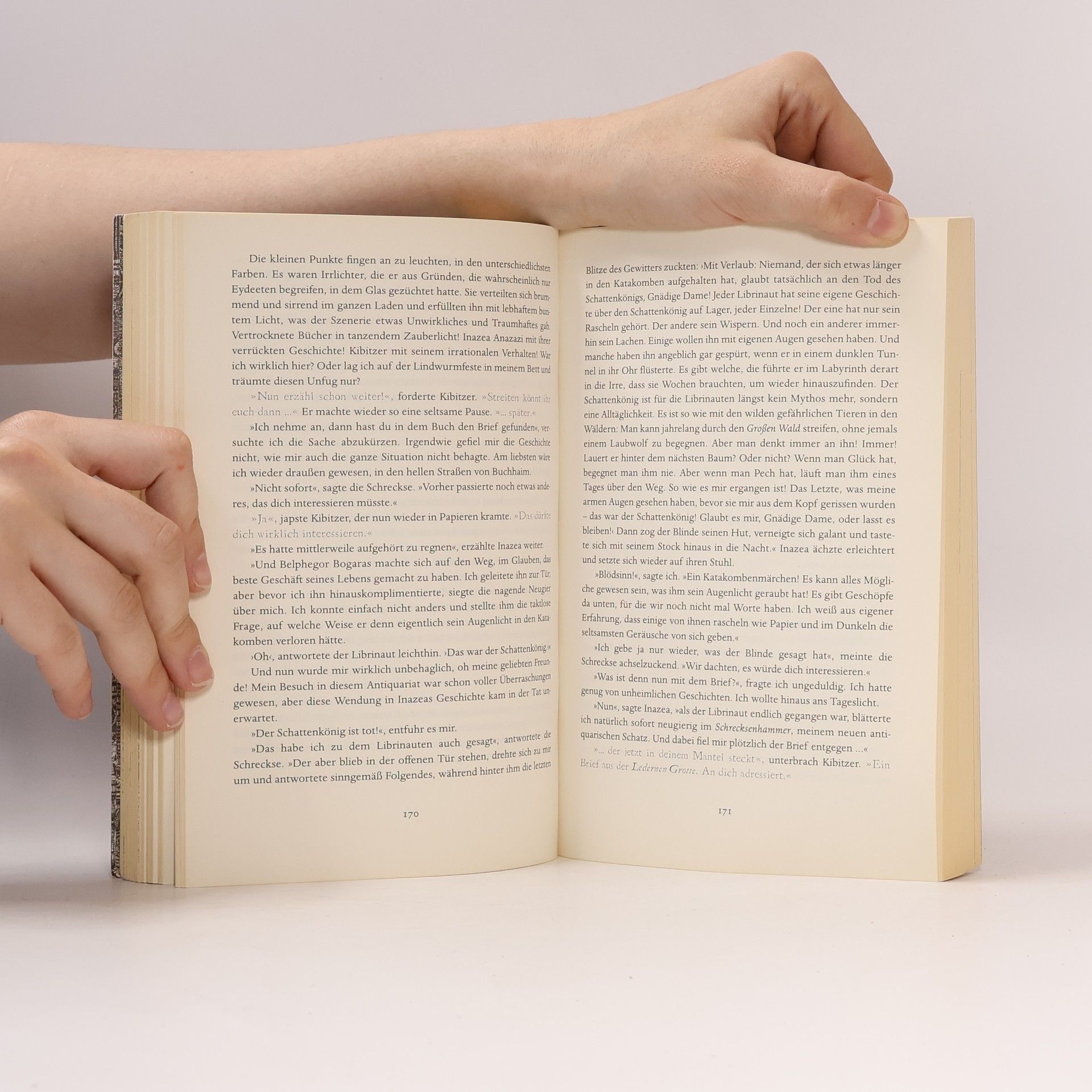 Walter Moers Das Labyrinth der träumenden Bücher