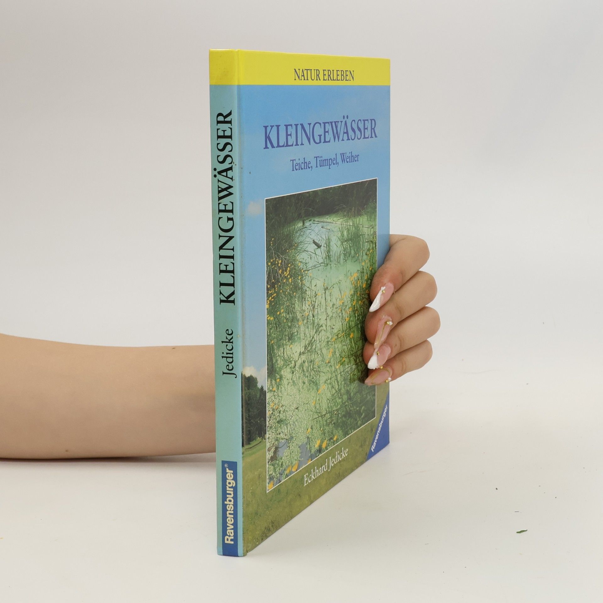 Kleingewässer
