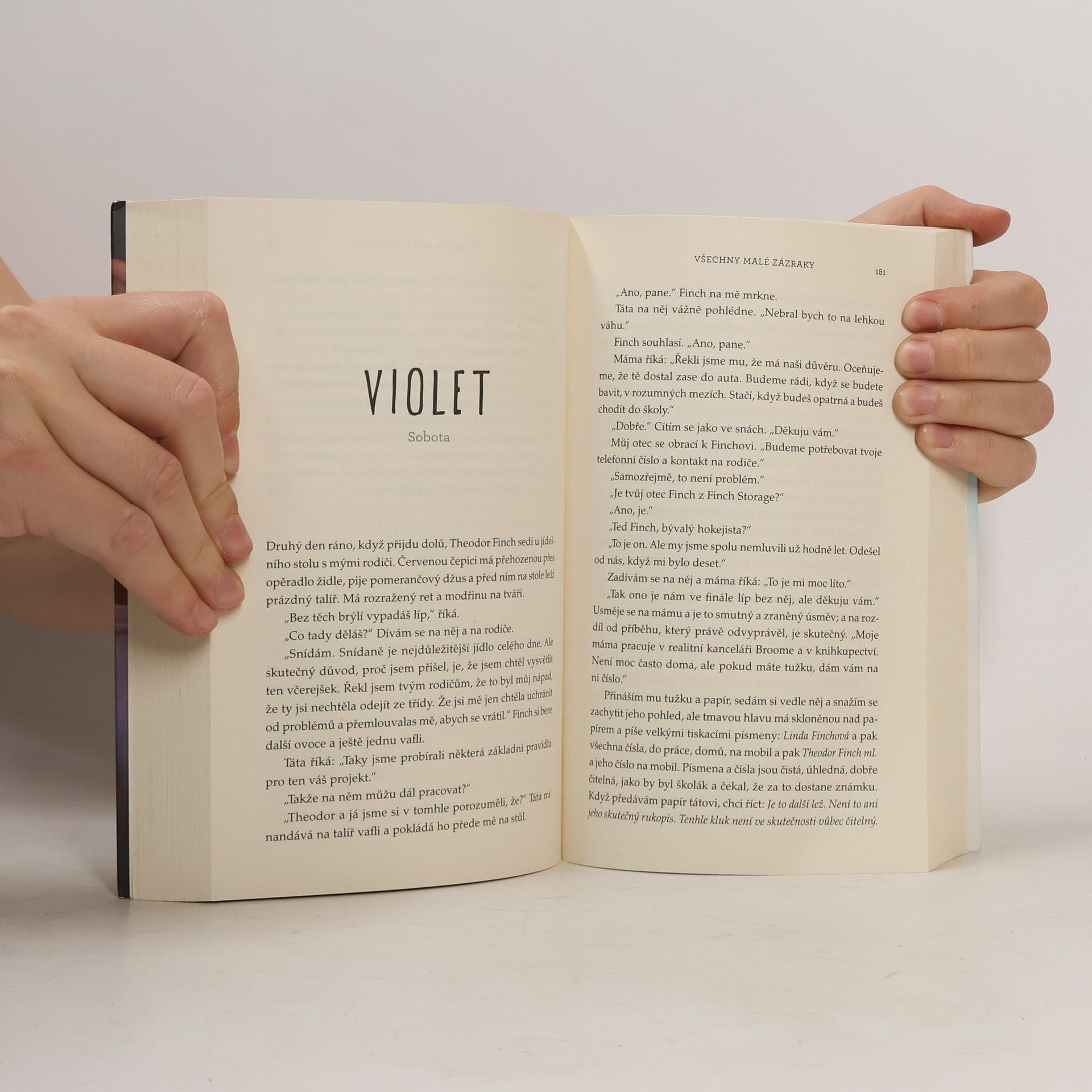 Jennifer Niven Všechny malé zázraky