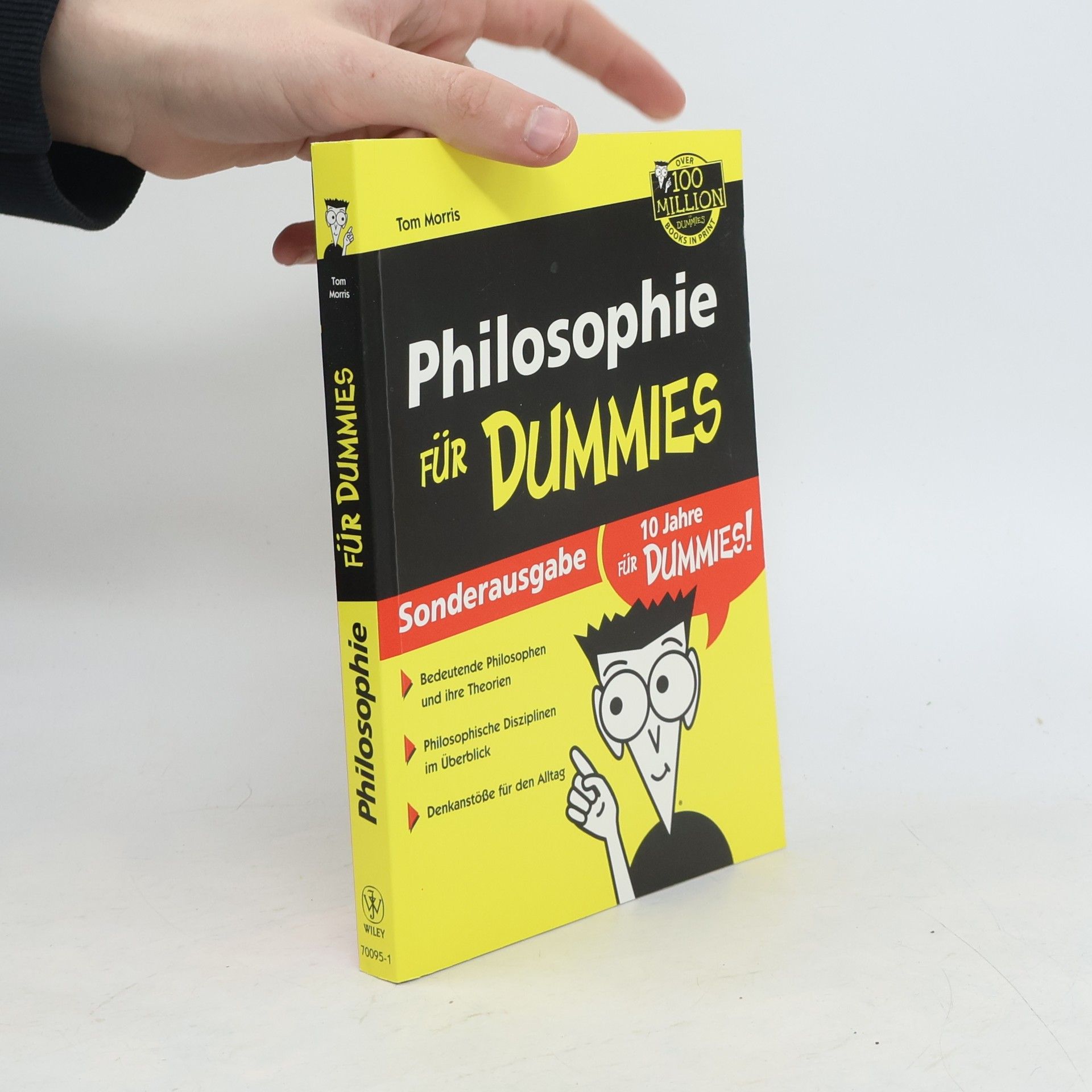 Tom Morris Philosophie für Dummies