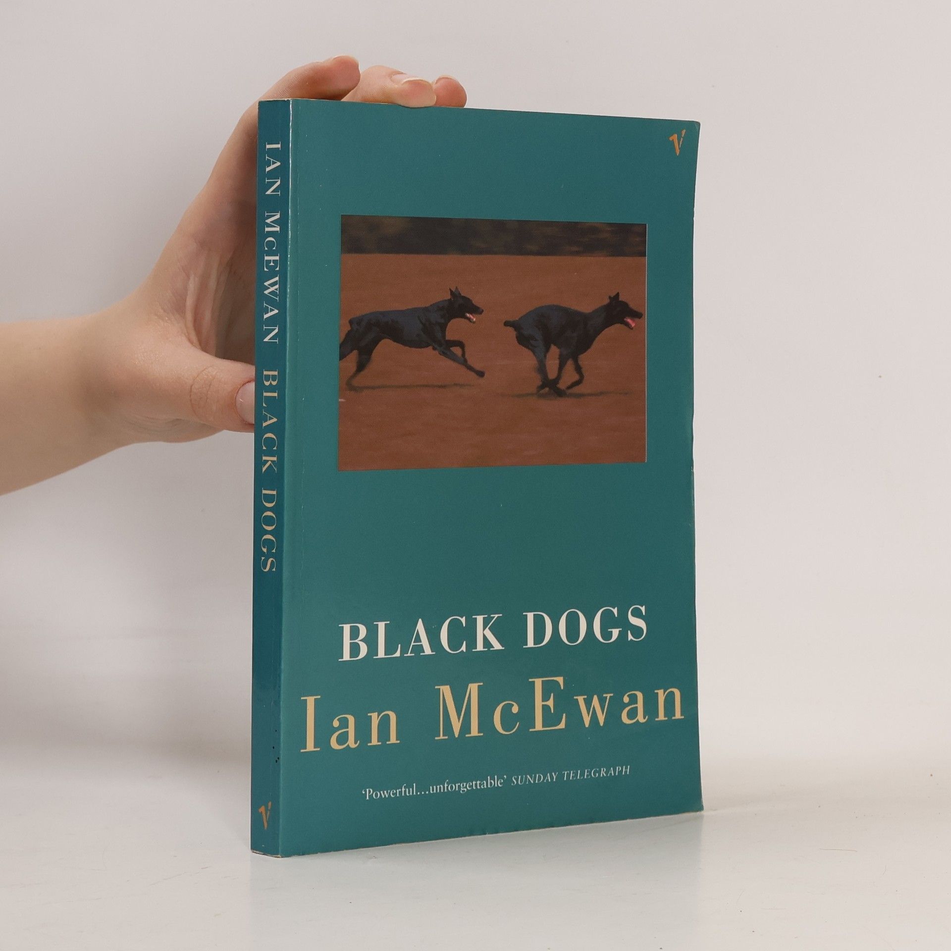 Black dogs