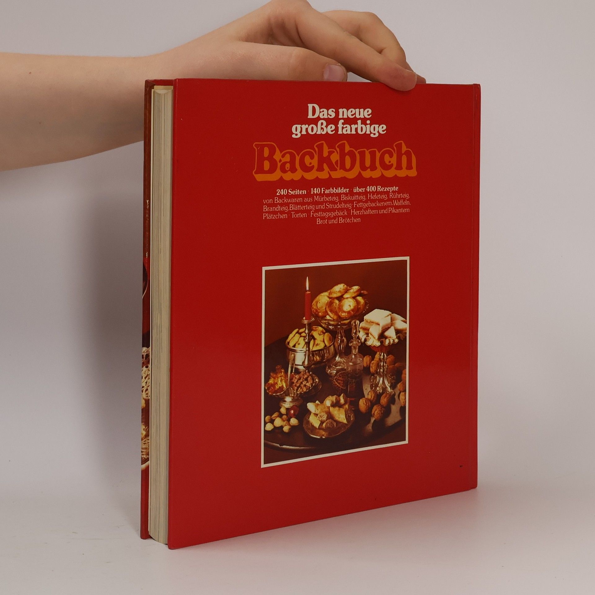 Silke Andersen Das neue große farbige Backbuch