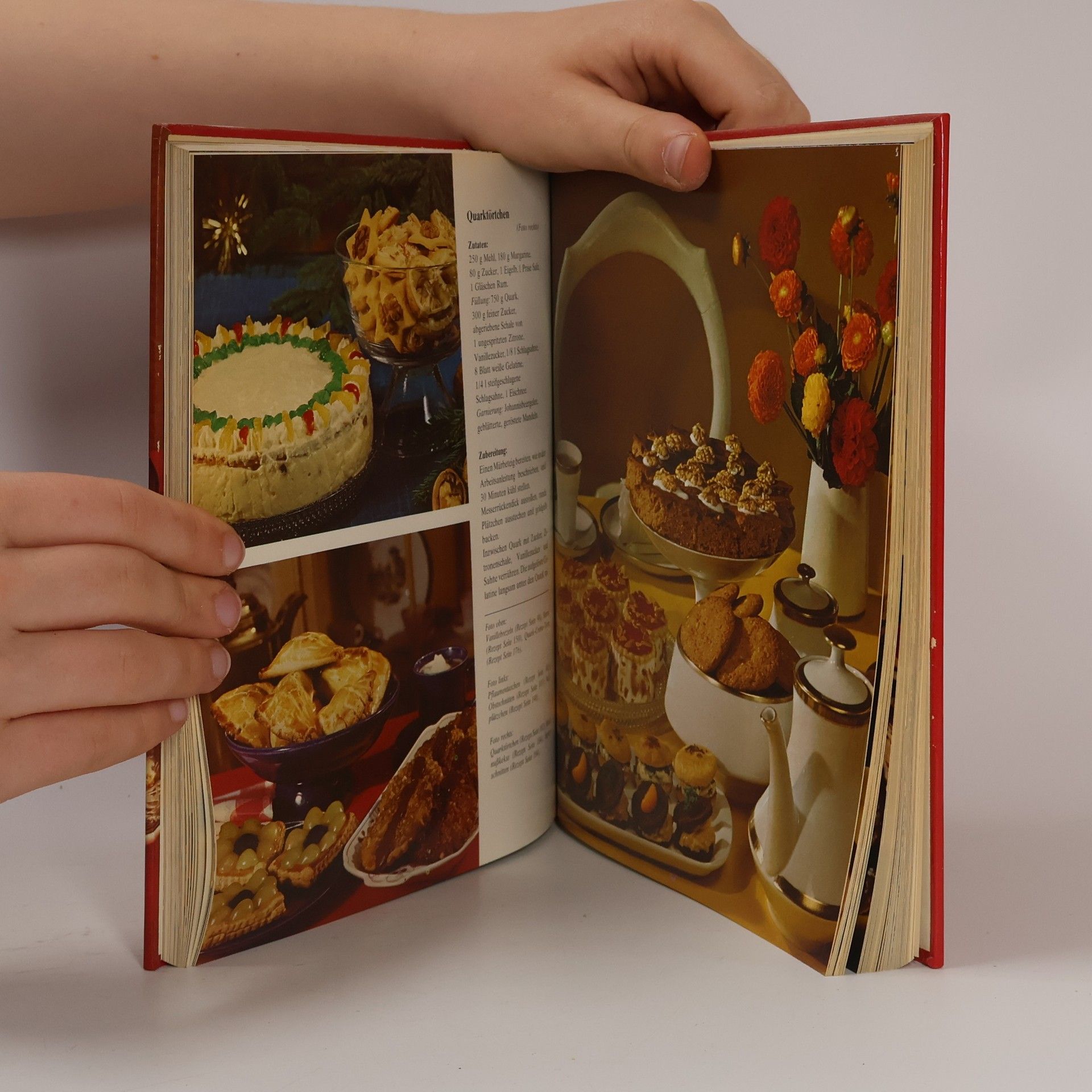 Silke Andersen Das neue große farbige Backbuch