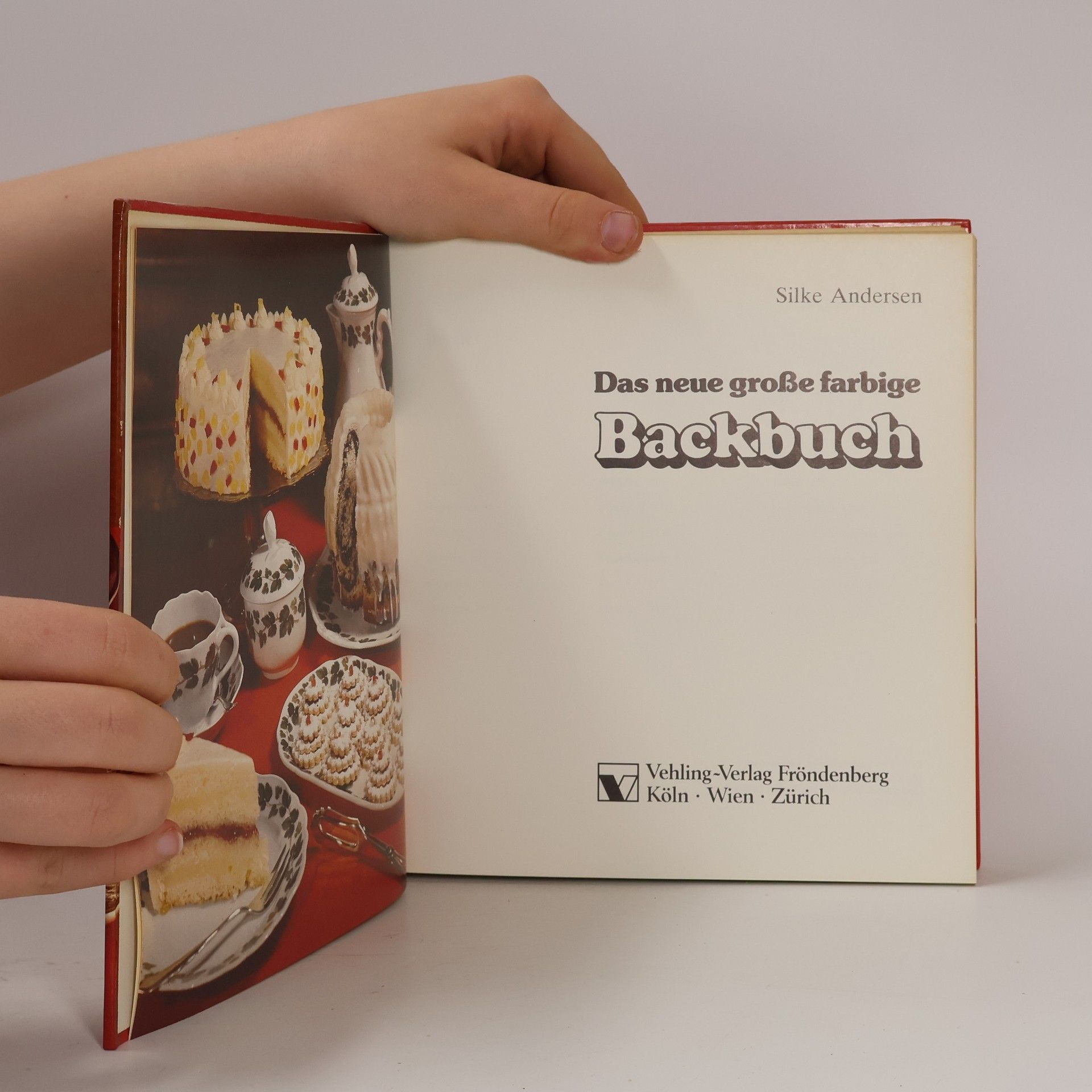 Silke Andersen Das neue große farbige Backbuch