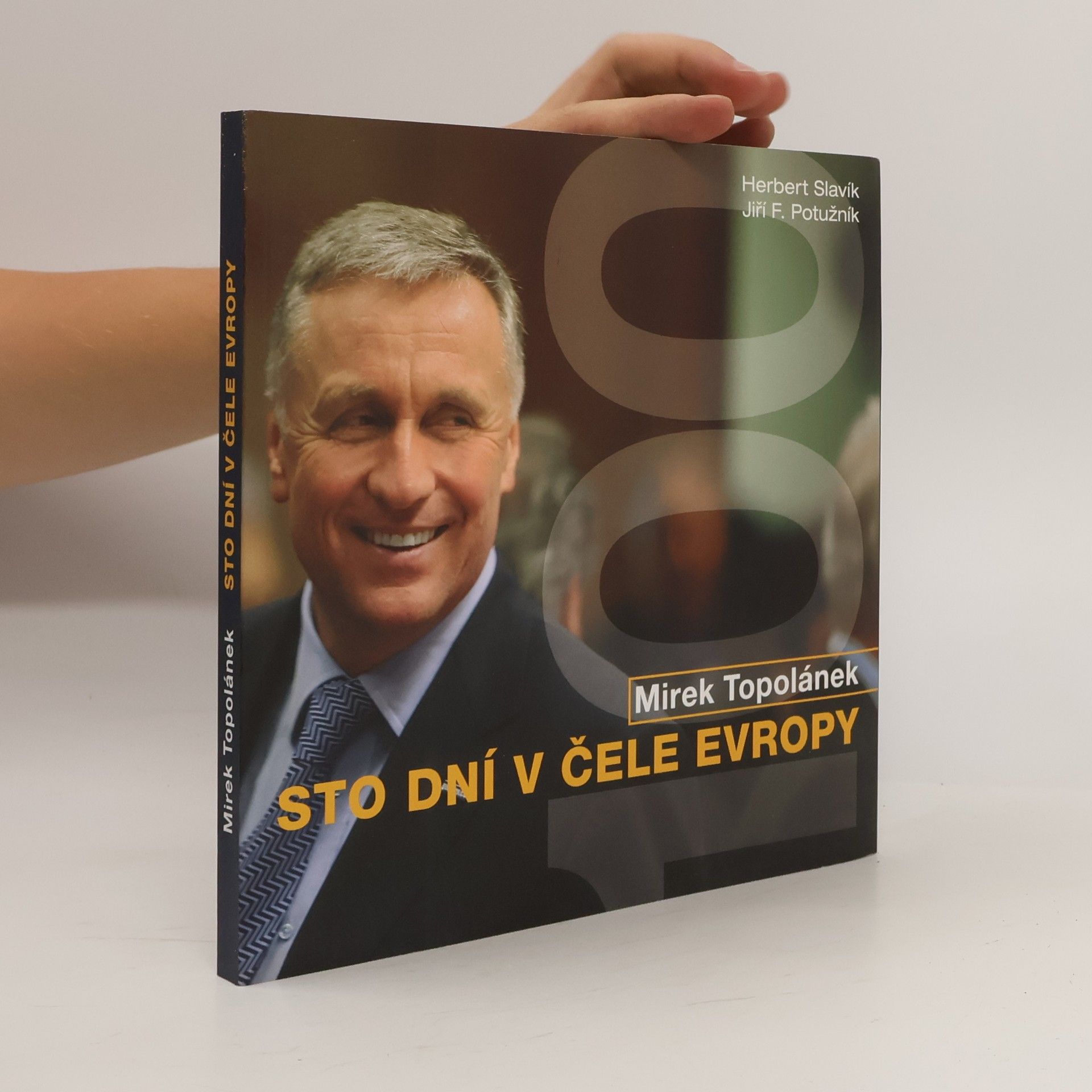 Mirek Topolánek. Sto dní v čele Evropy