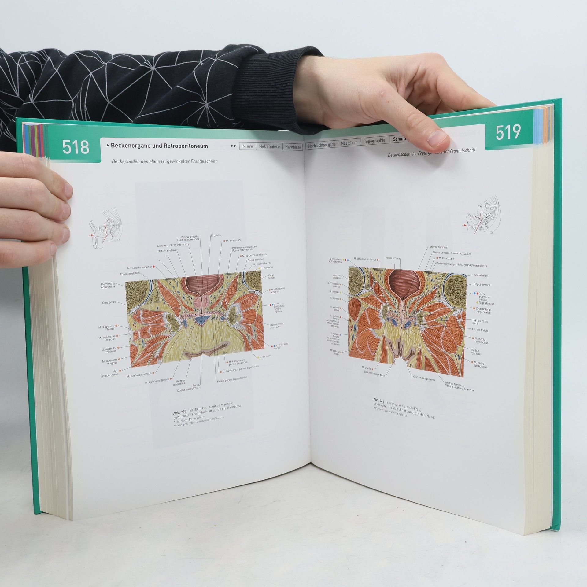 Kolektiv autorů Sobotta. Anatomie des Menschen. Der komplette Atlas in einem Band