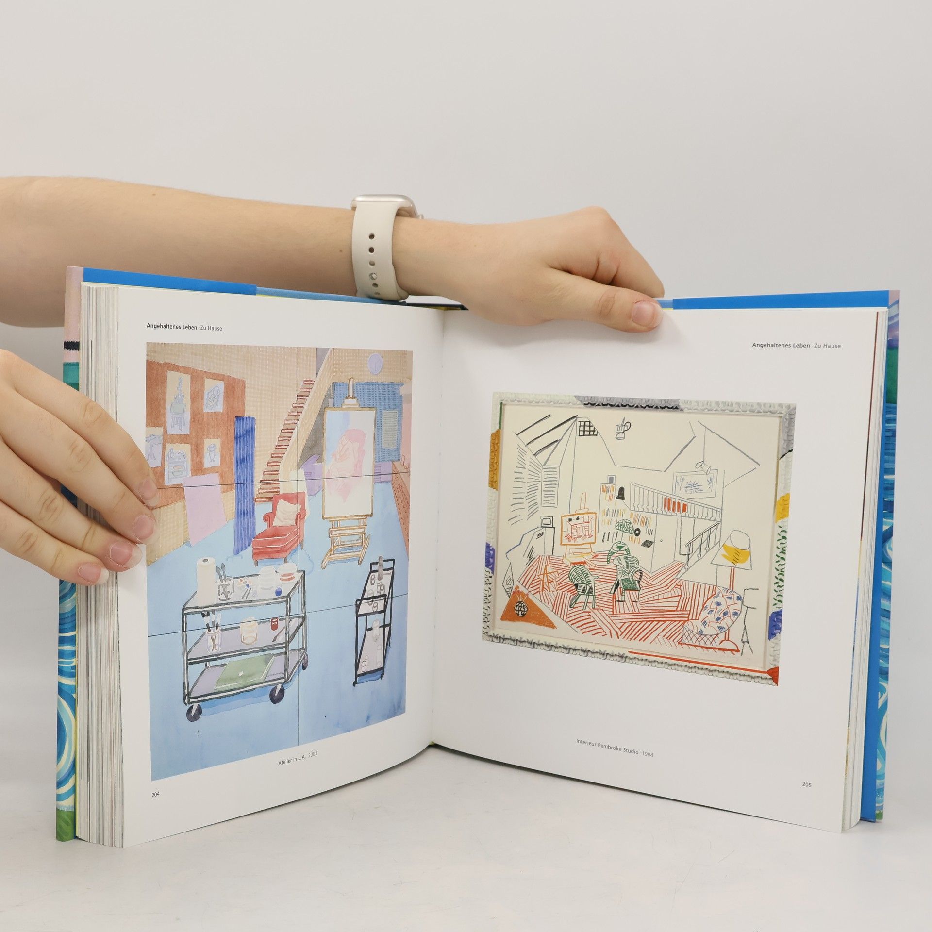 David Hockney Die Monografie