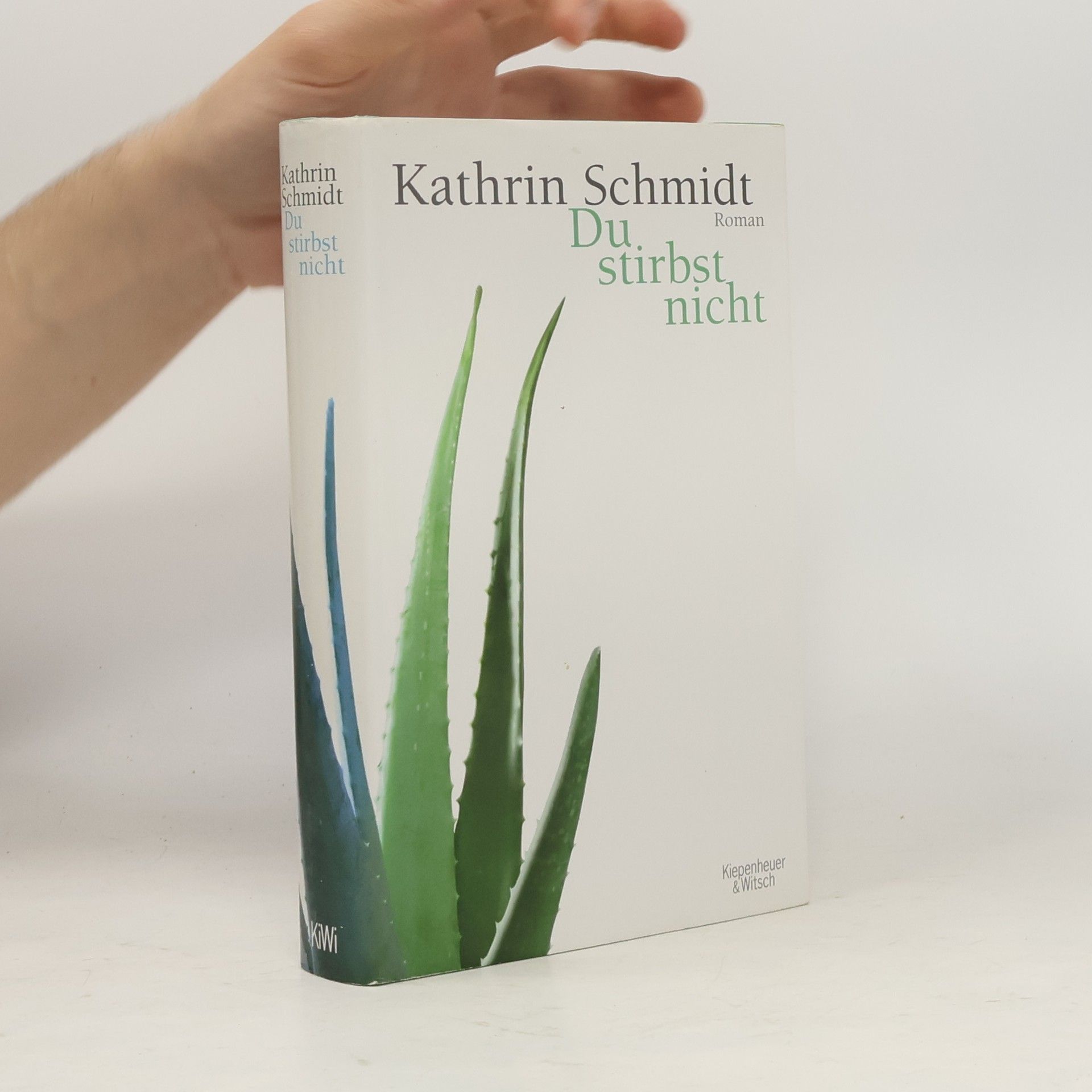 Kathrin Schmidt Du stirbst nicht