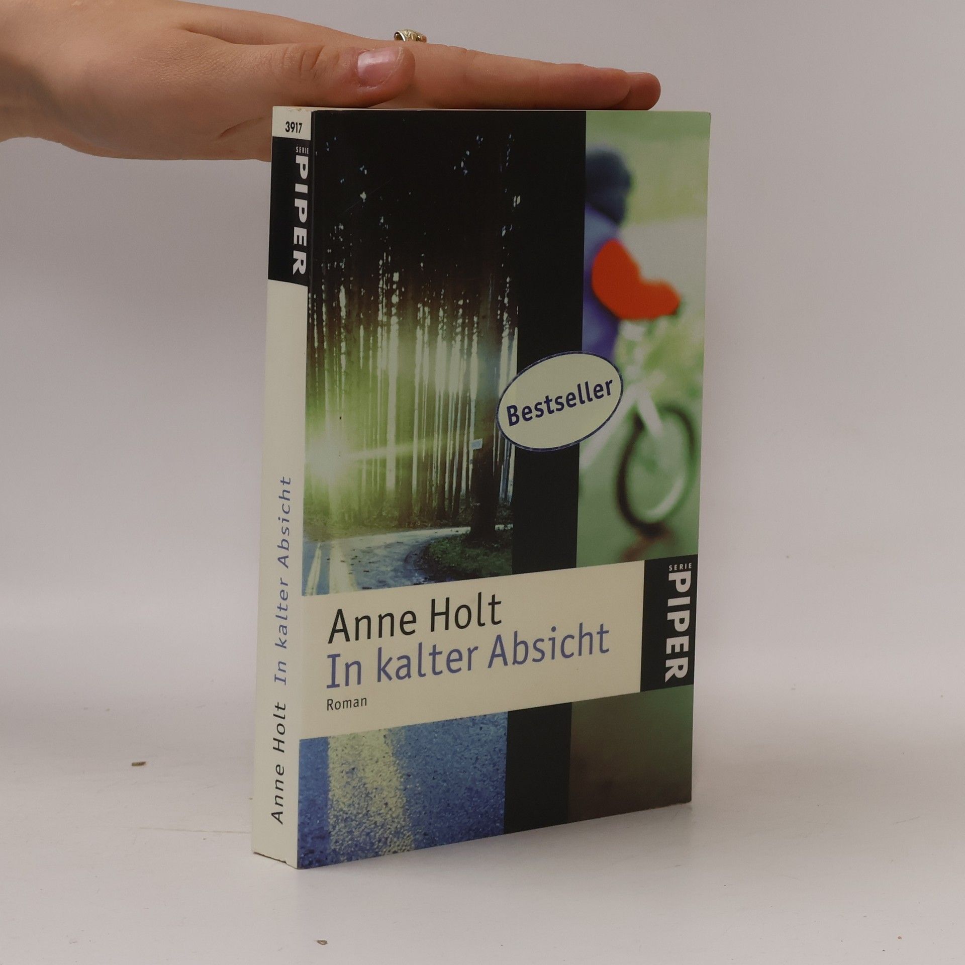 Anne Holt In kalter Absicht