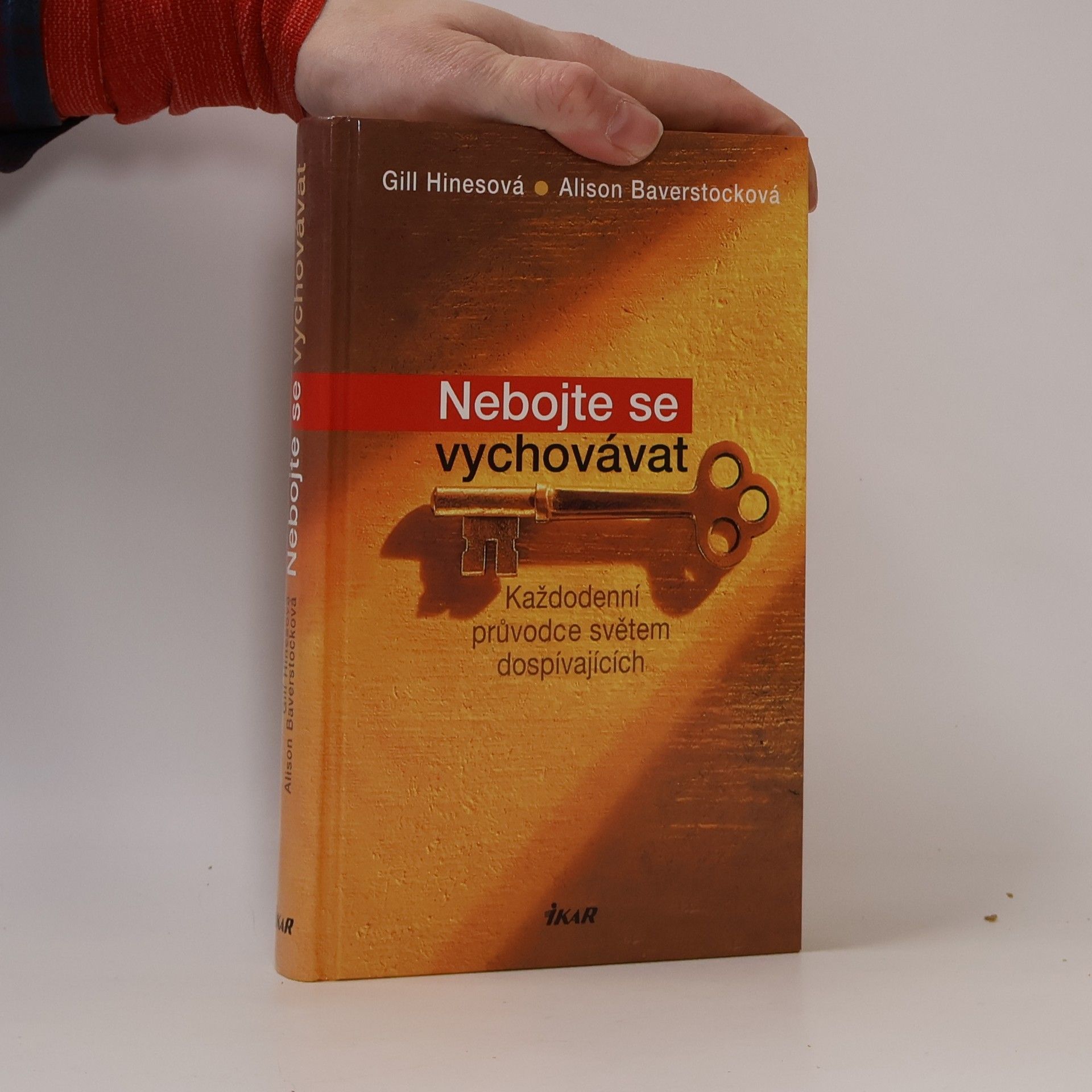 Gill Hines Nebojte se vychovávat: Každodenní průvodce světem dospívajících