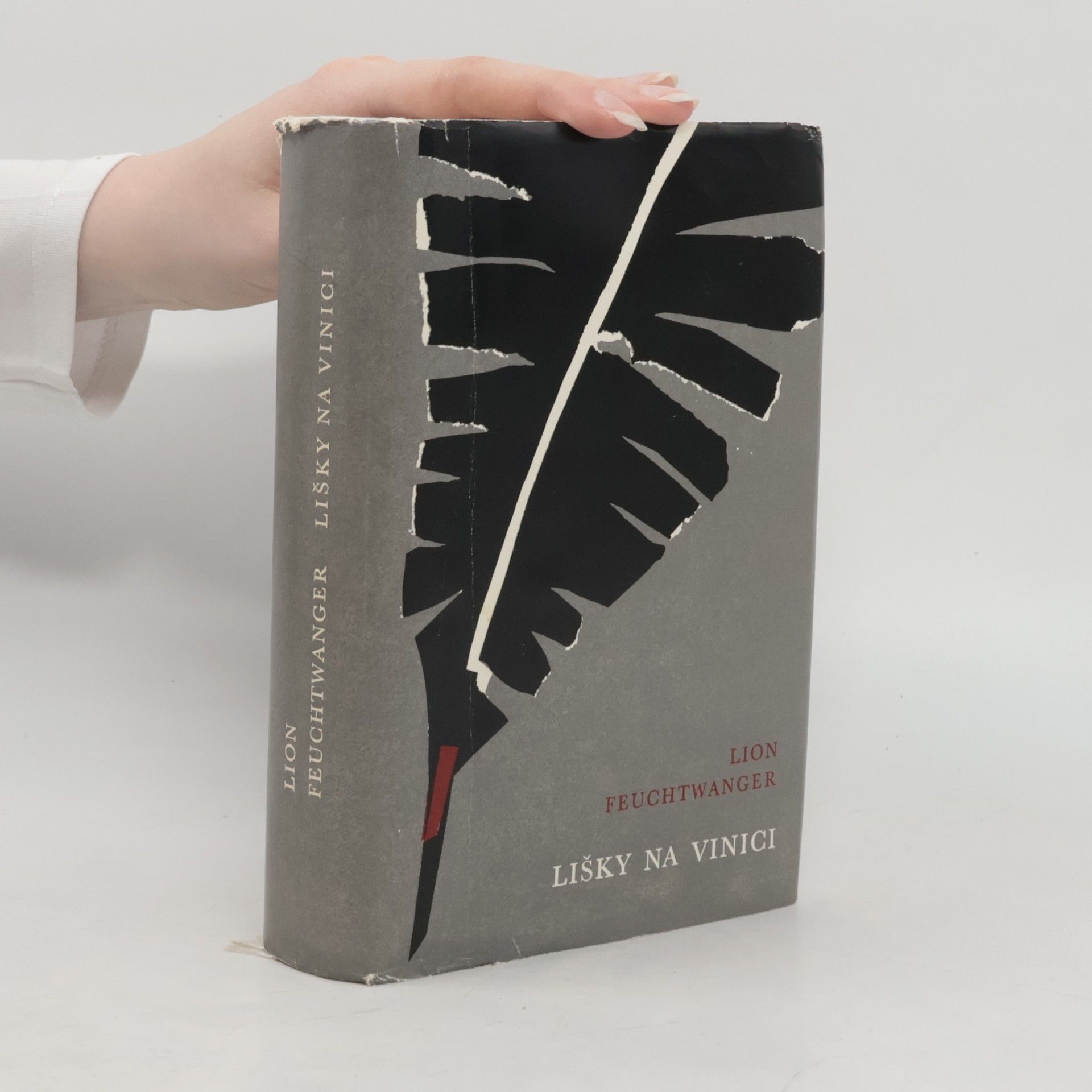 Lion Feuchtwanger Lišky na vinici