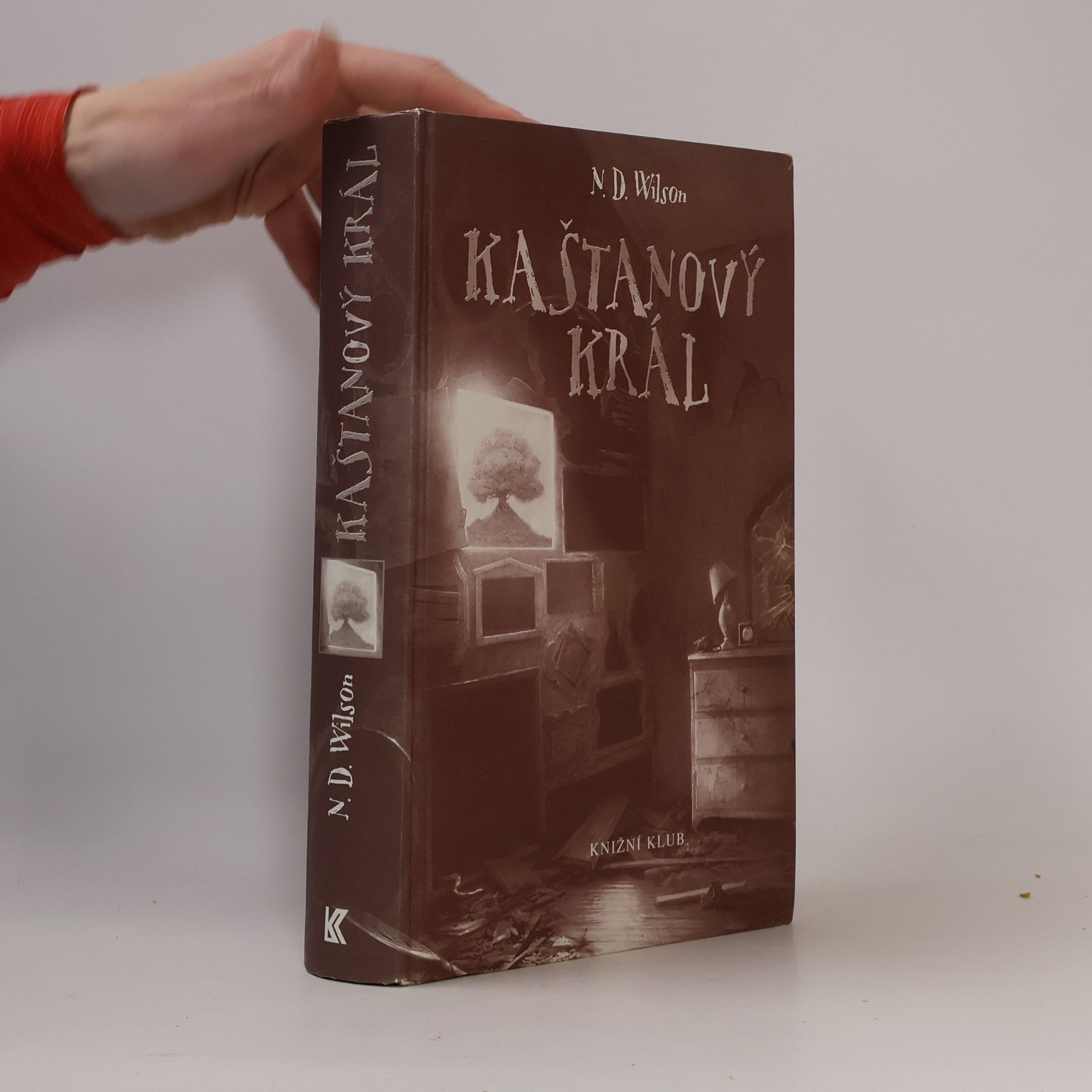 N. D. Wilson Kaštanový král