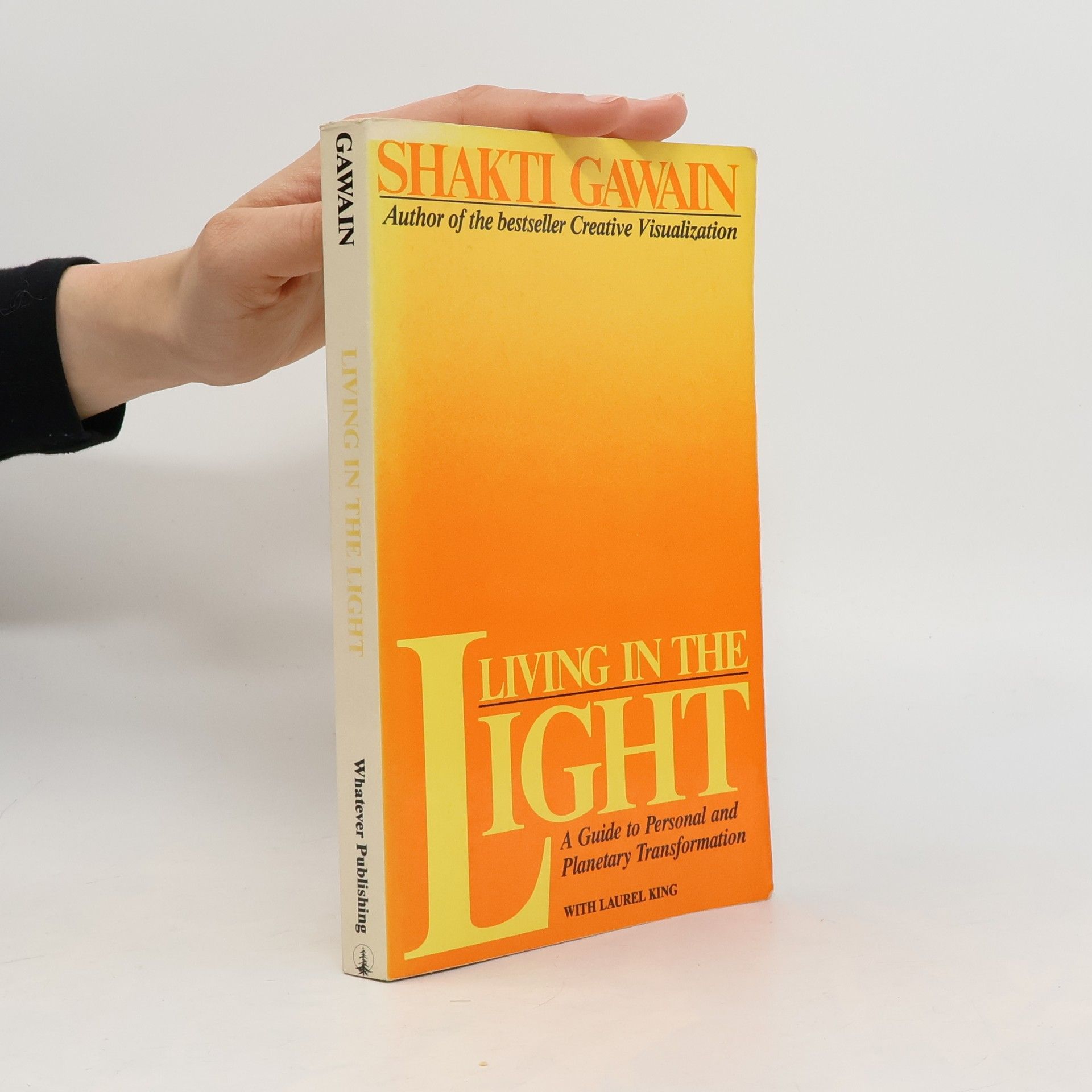 Shakti Gawain Living in the Light