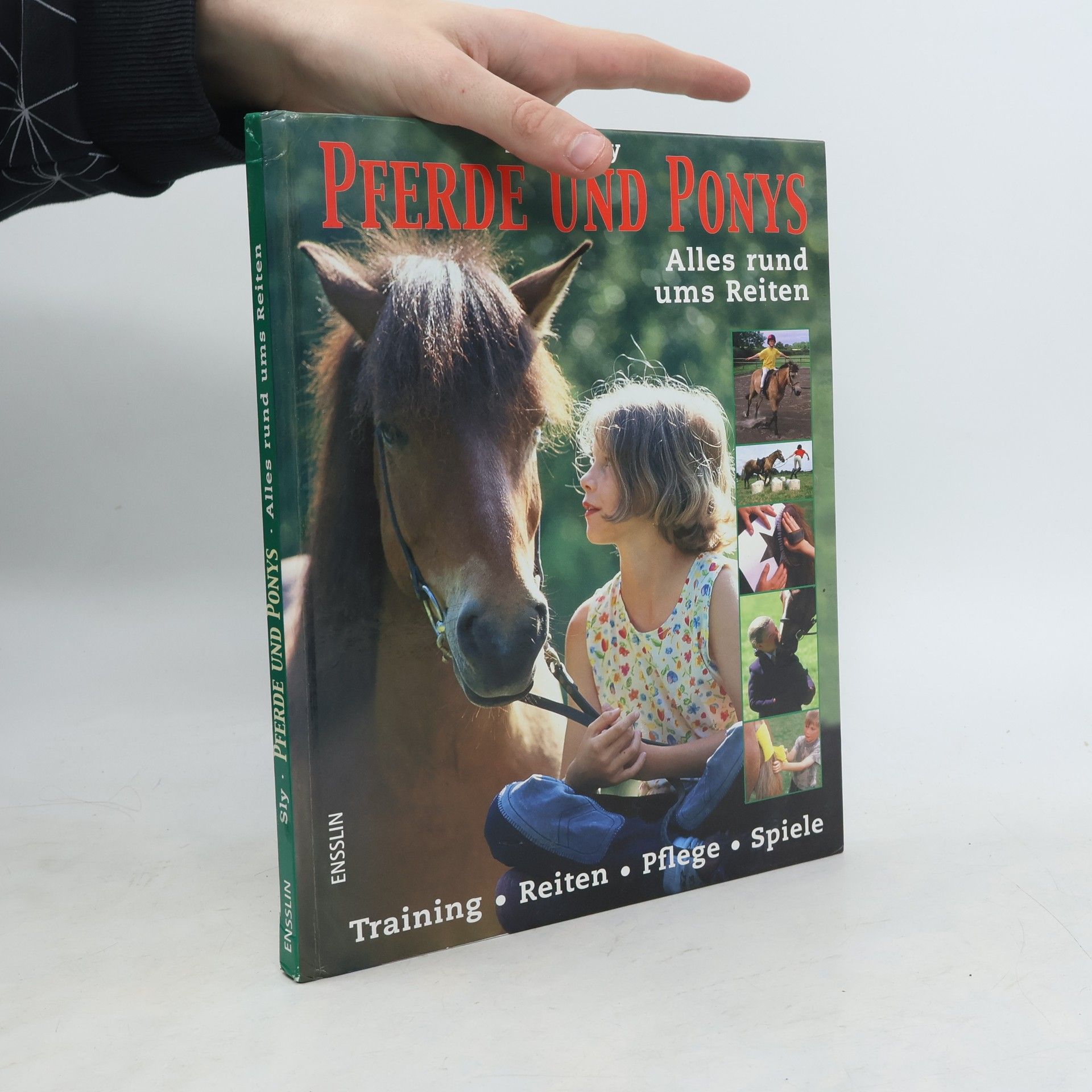 Debby Sly Pferde und Ponys