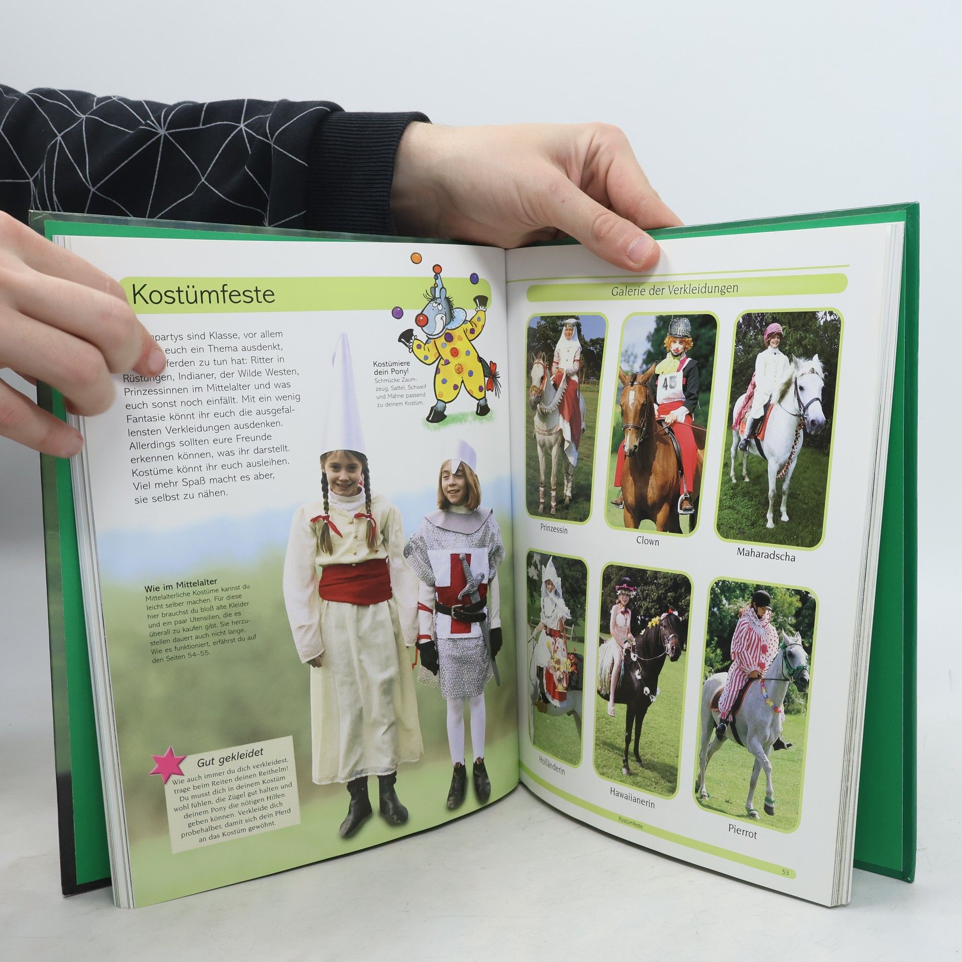 Debby Sly Pferde und Ponys